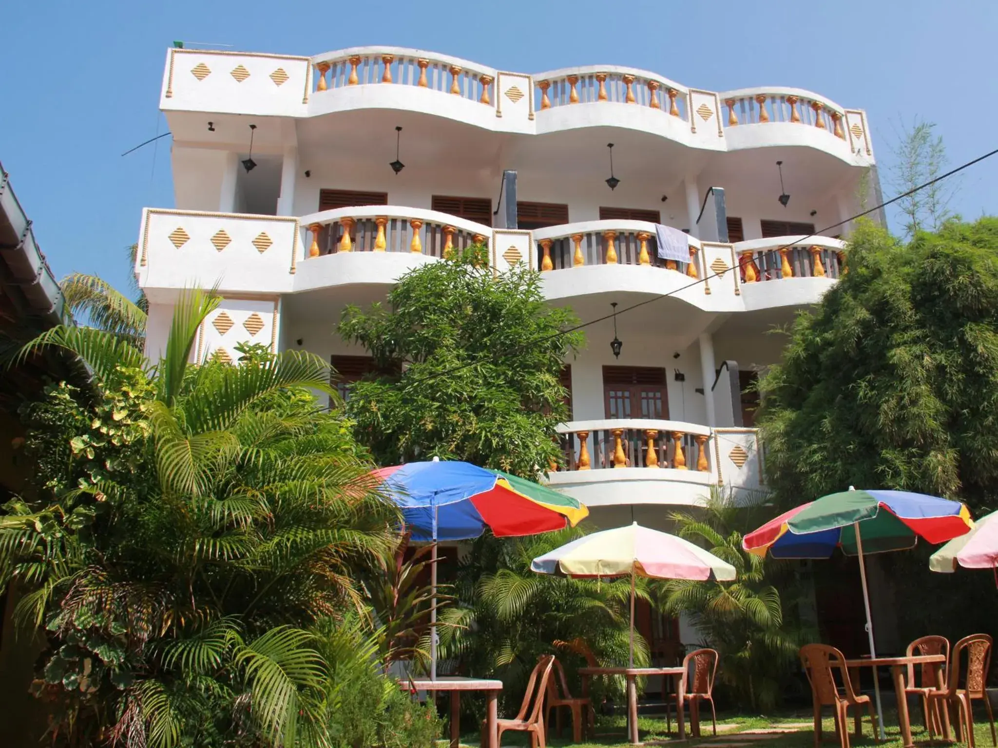 Orchid Rest Orchid Rest