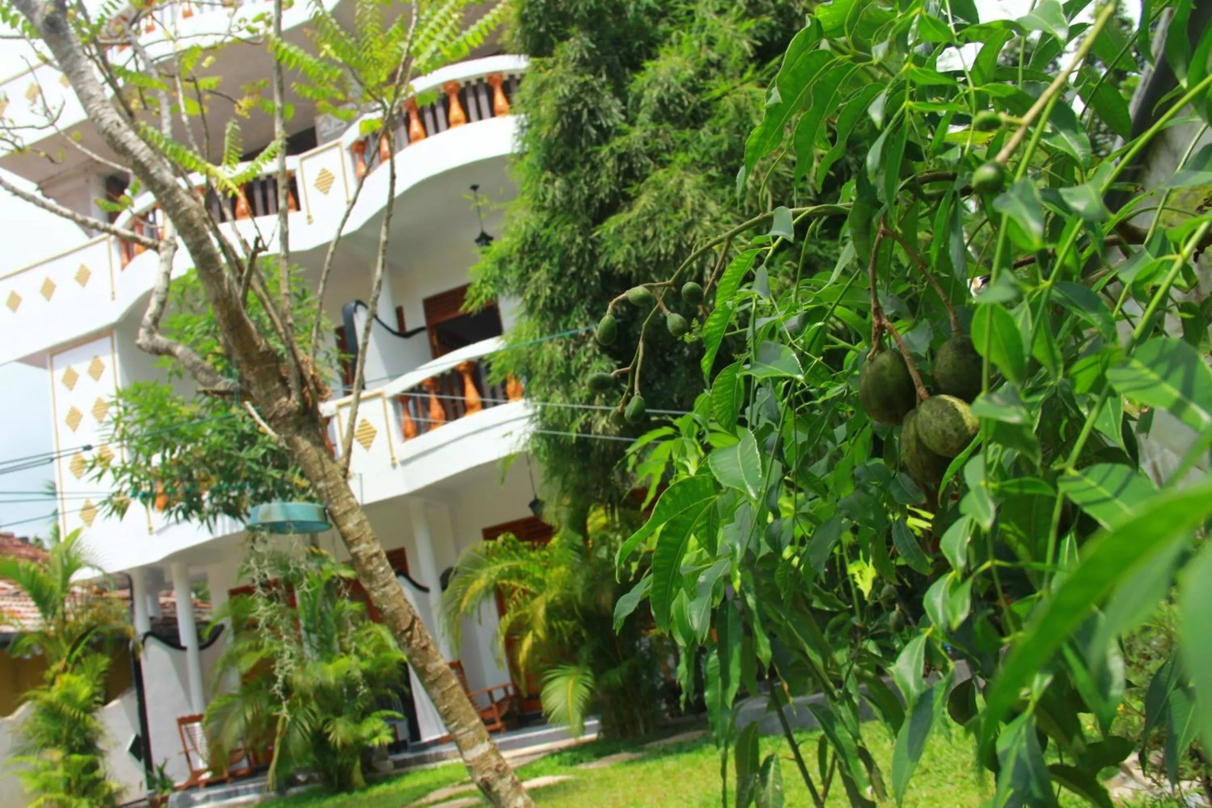 Garden view in Orchid Rest