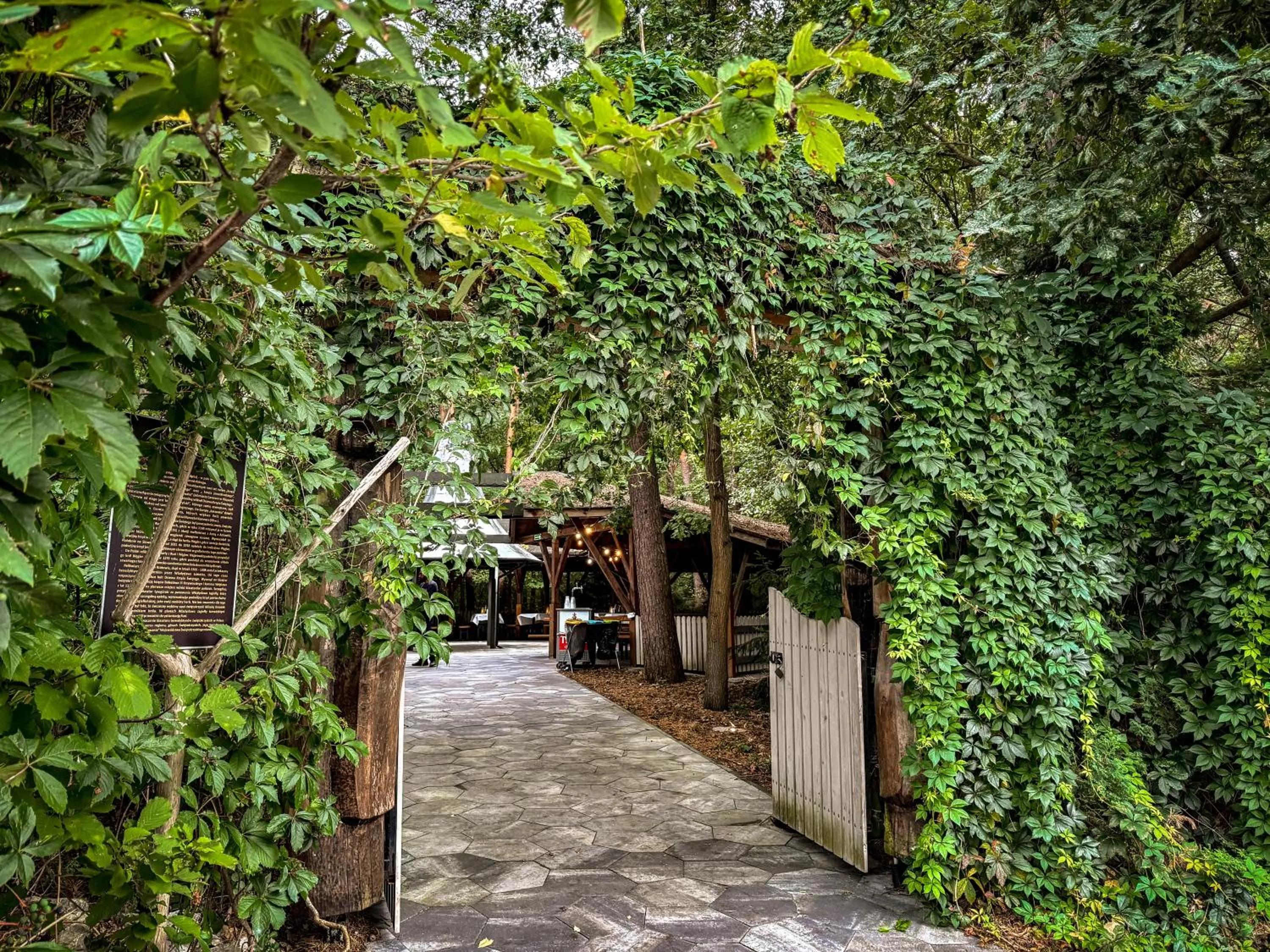 Natural landscape in Hotel Echo