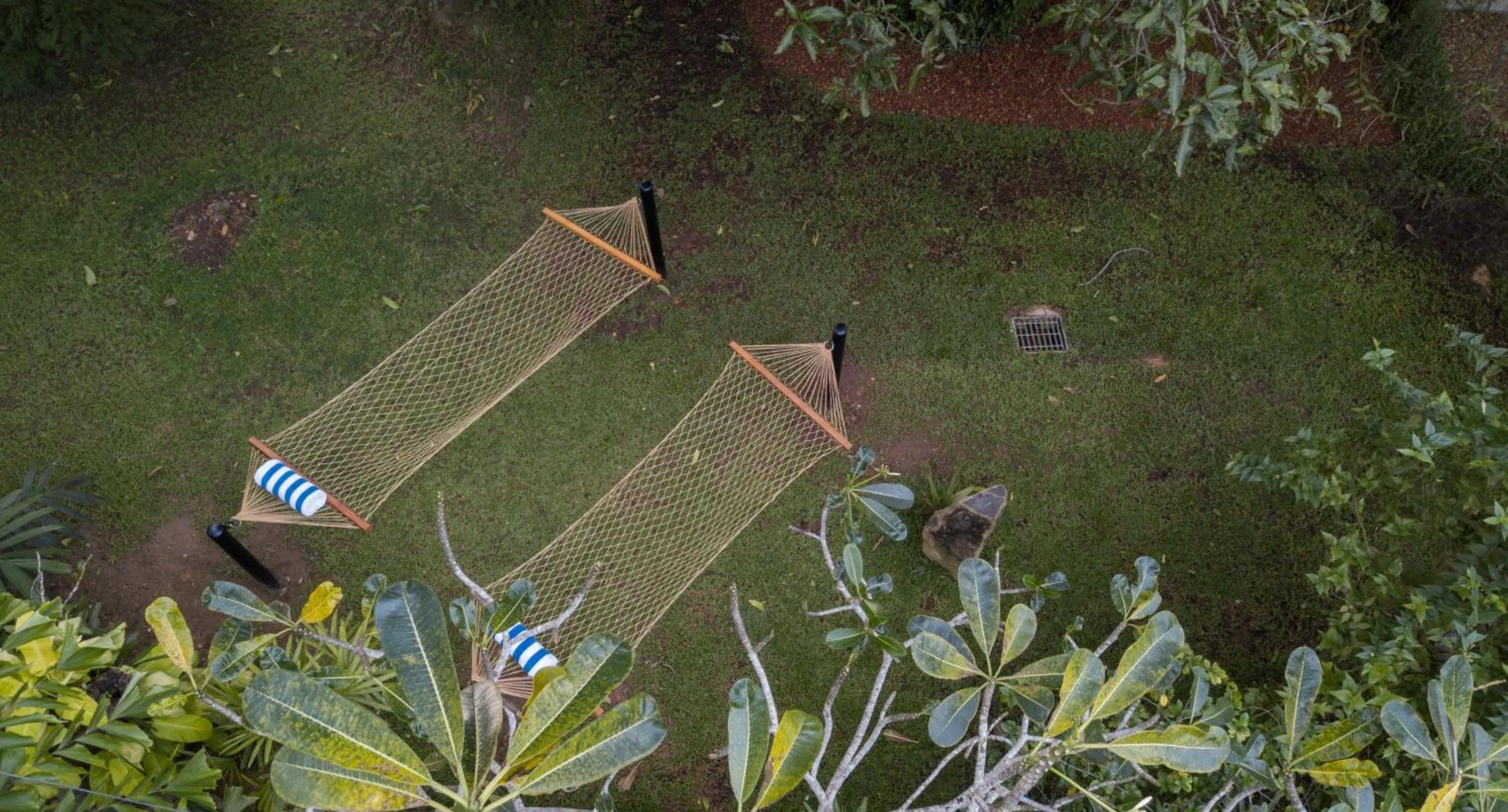 Garden in Bilin Tree House