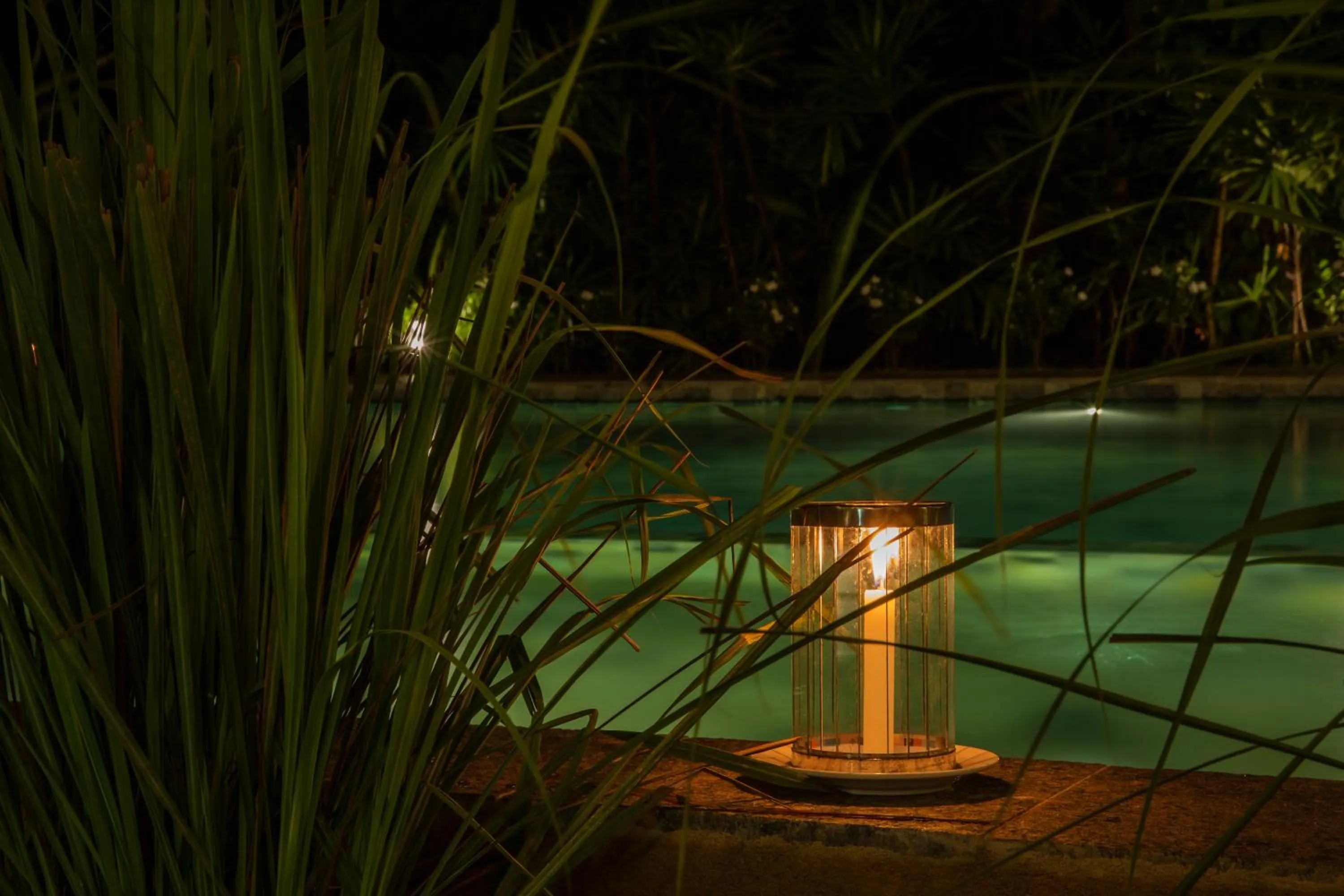 Swimming pool in Bilin Tree House