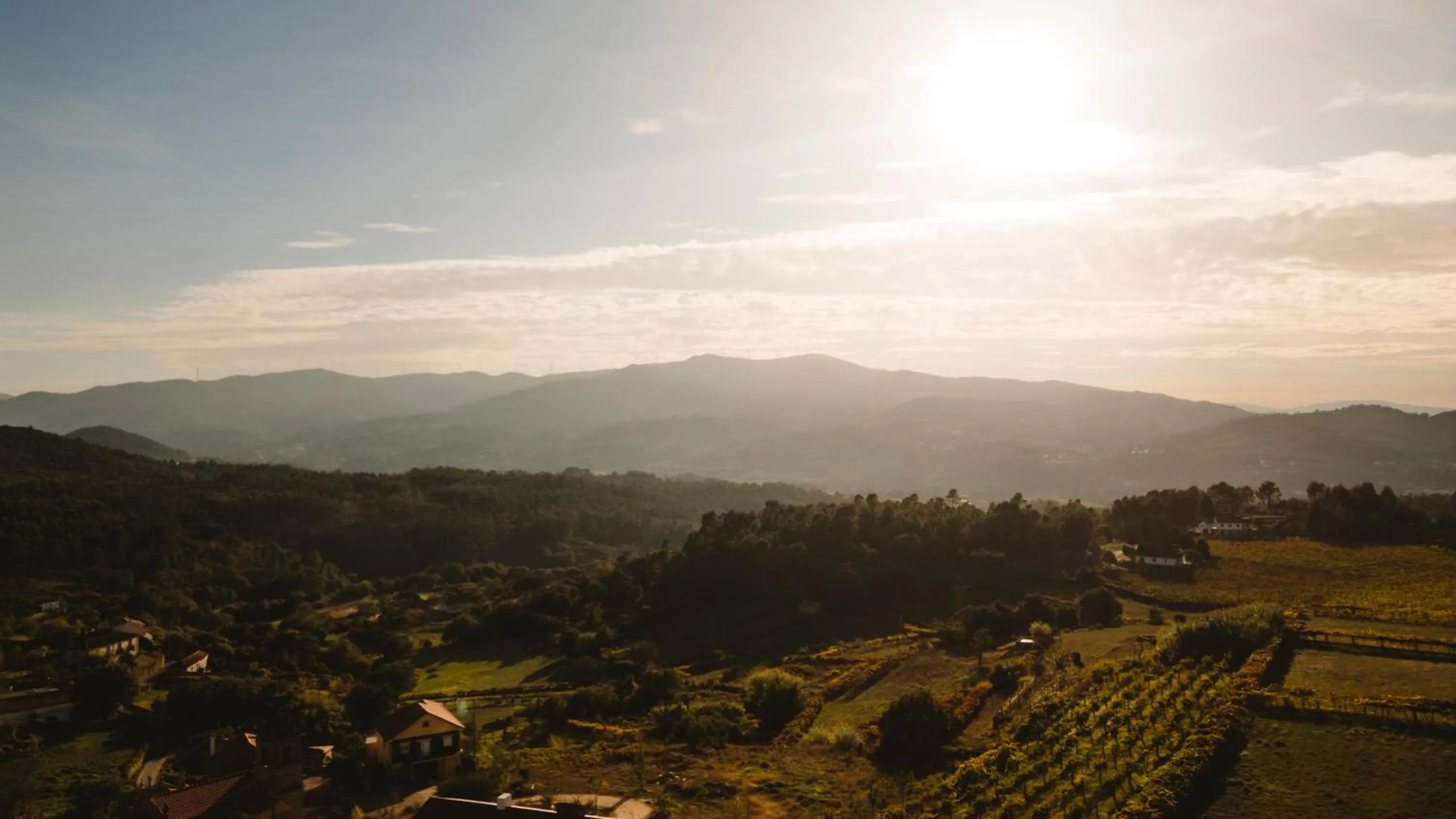 Nearby landmark in The Vinea Collection Hotel by Piamonte Hotels