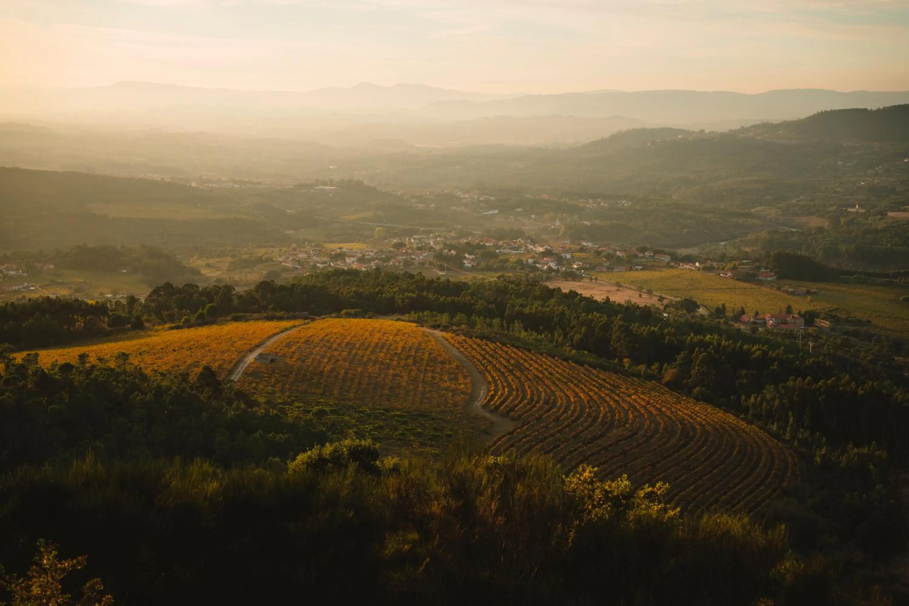 Nearby landmark in The Vinea Collection Hotel by Piamonte Hotels