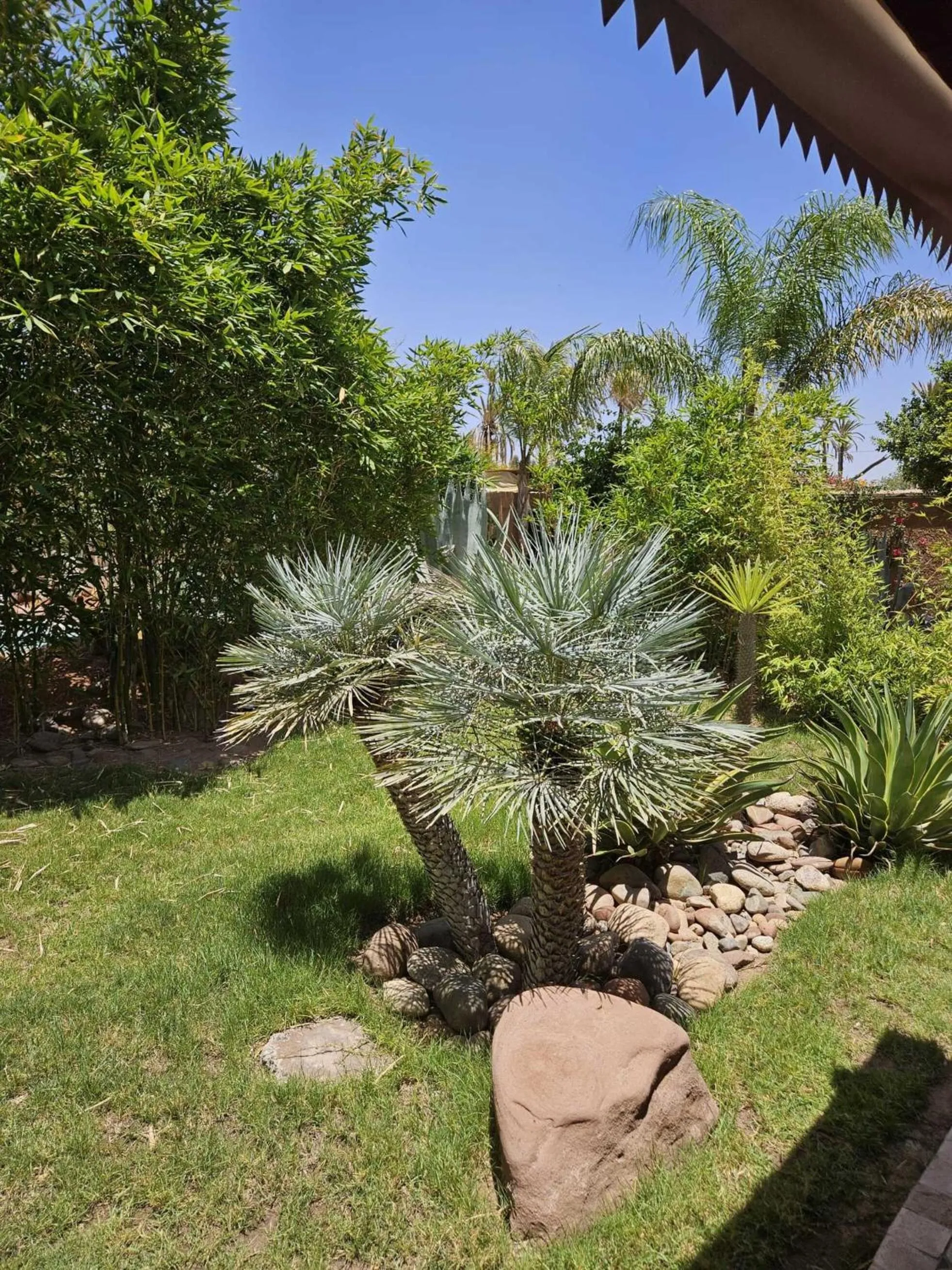 Spring in Eden Lodges & SPA-Boutique Hôtel de Luxe