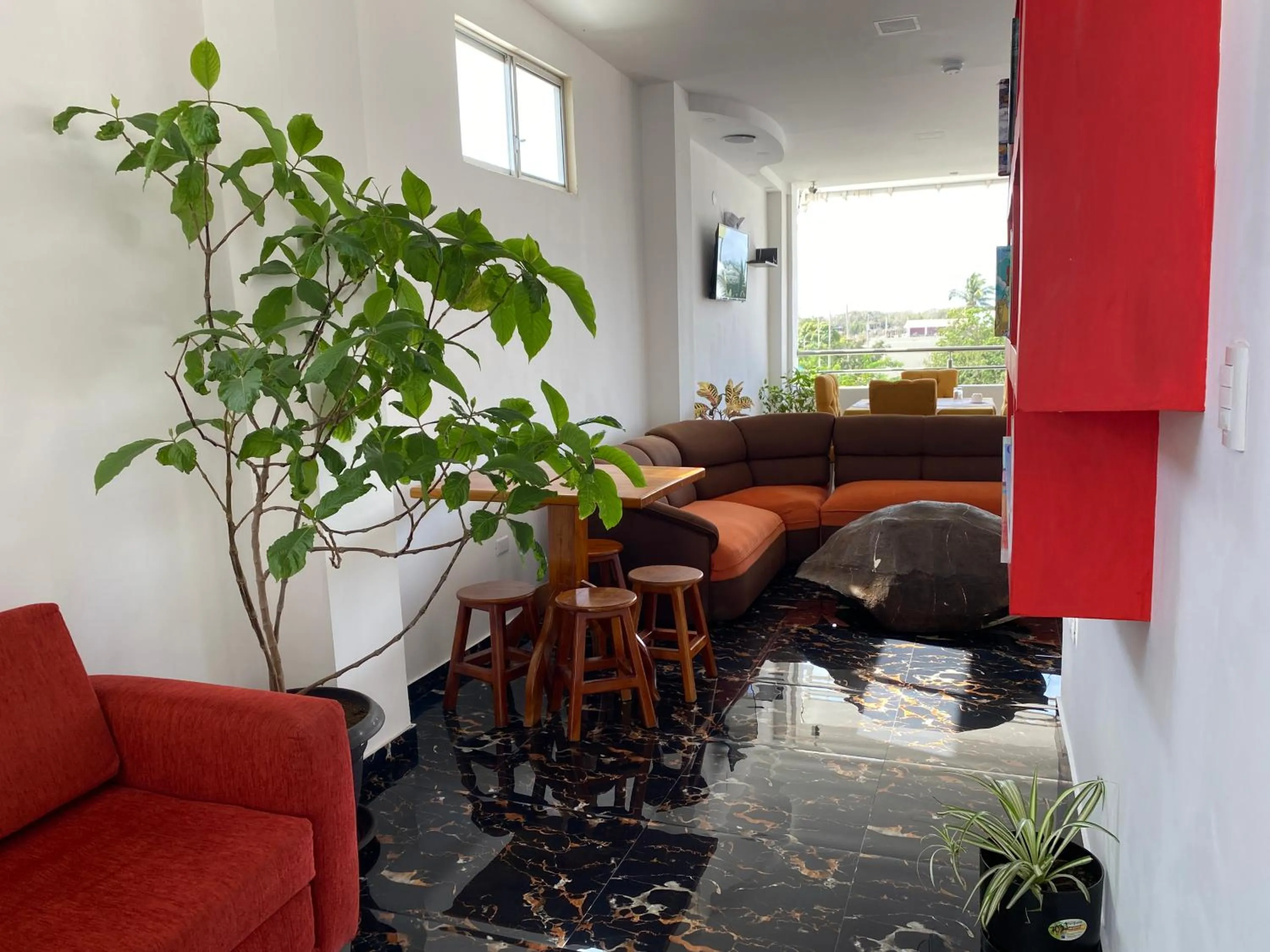 Living room in Patty House Galapagos