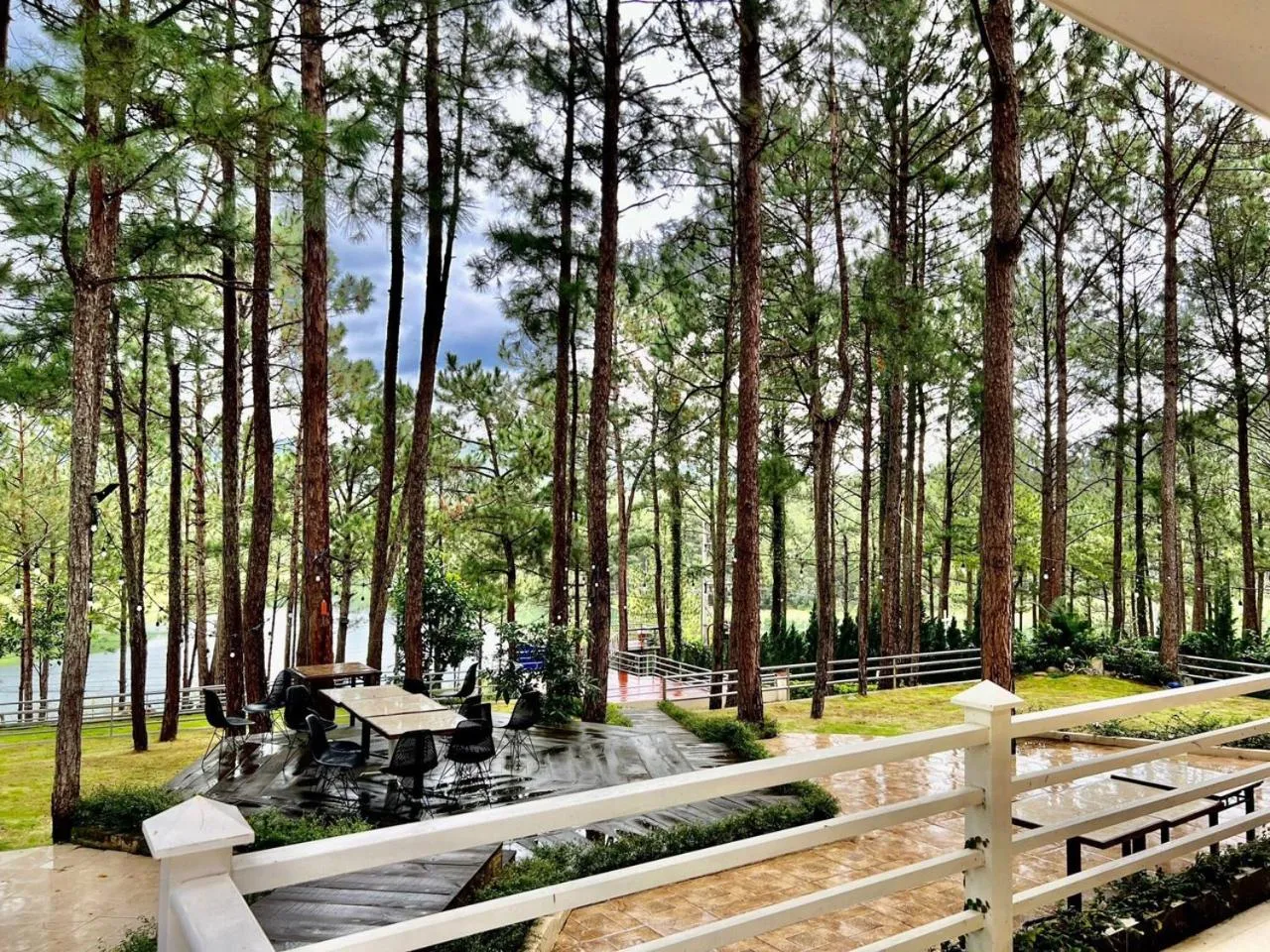 Day in Romeo & Juliet Dalat