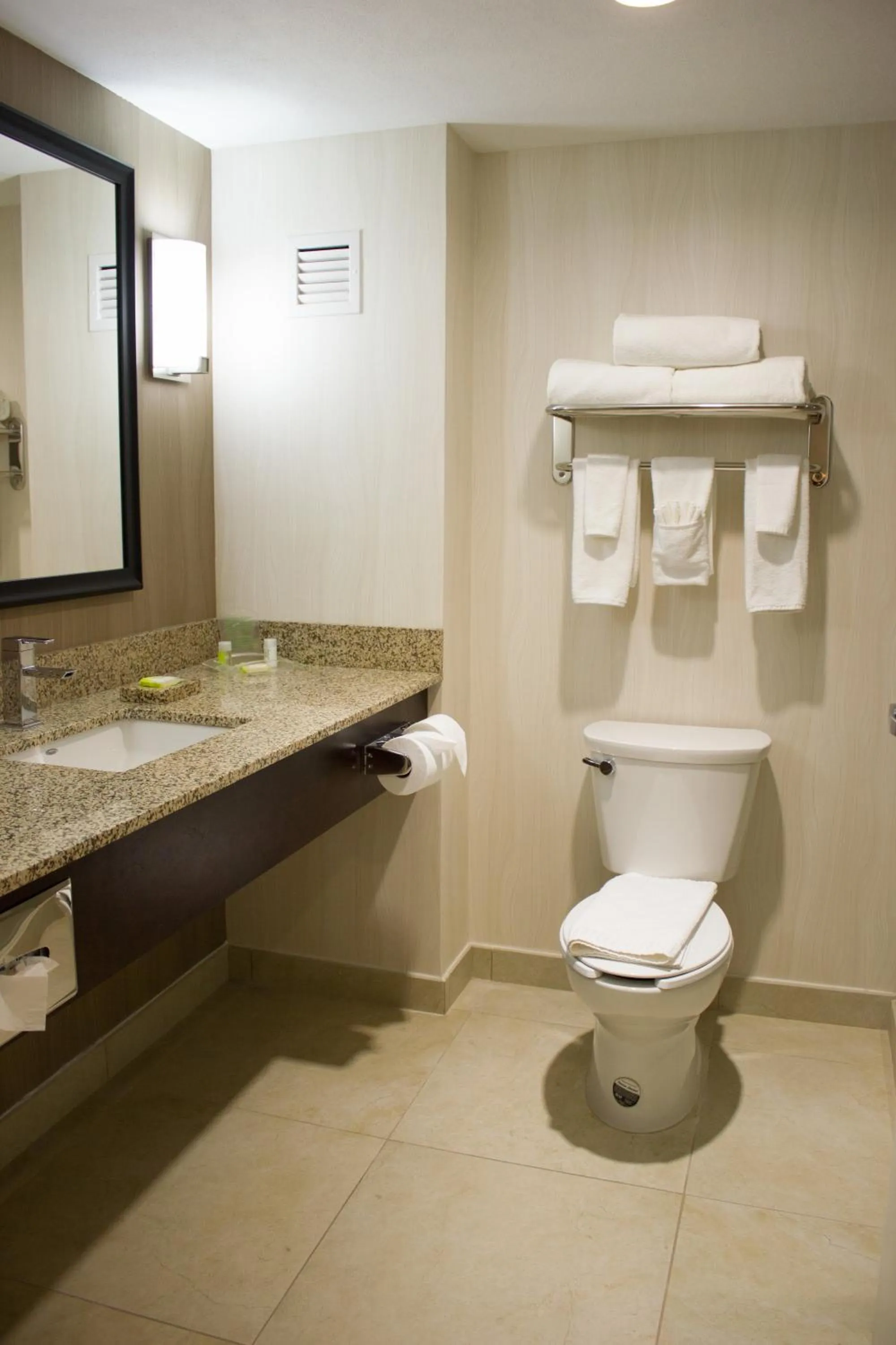 Bathroom in Holiday Inn Hotel & Suites Hermosillo Aeropuerto by IHG