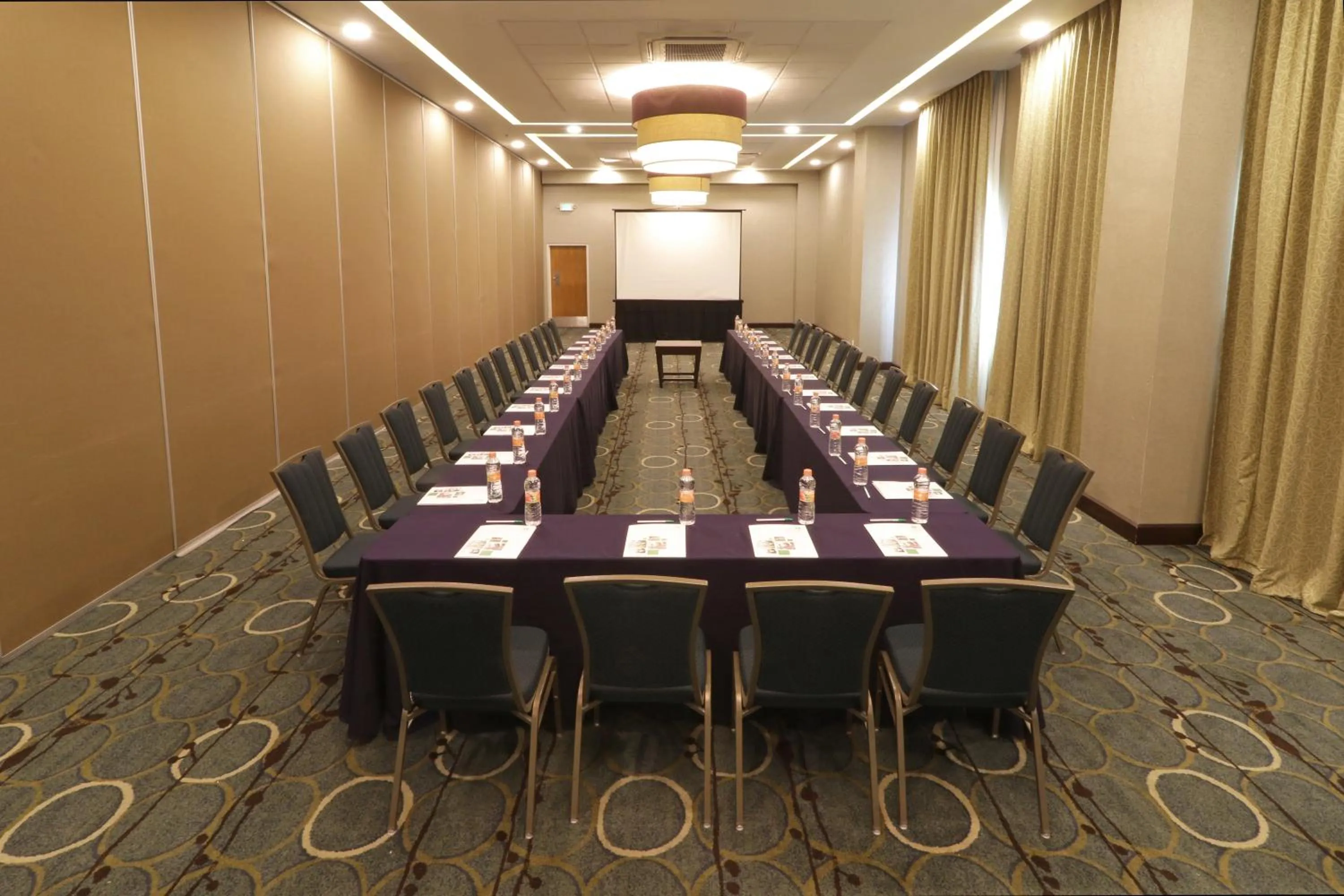 Meeting/conference room in Holiday Inn Hotel & Suites Hermosillo Aeropuerto by IHG