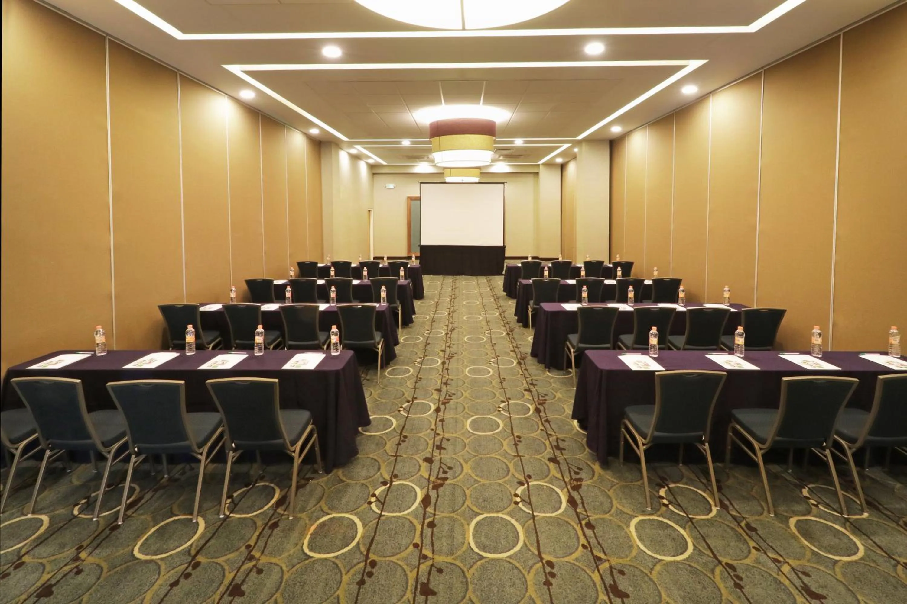 Meeting/conference room in Holiday Inn Hotel & Suites Hermosillo Aeropuerto by IHG