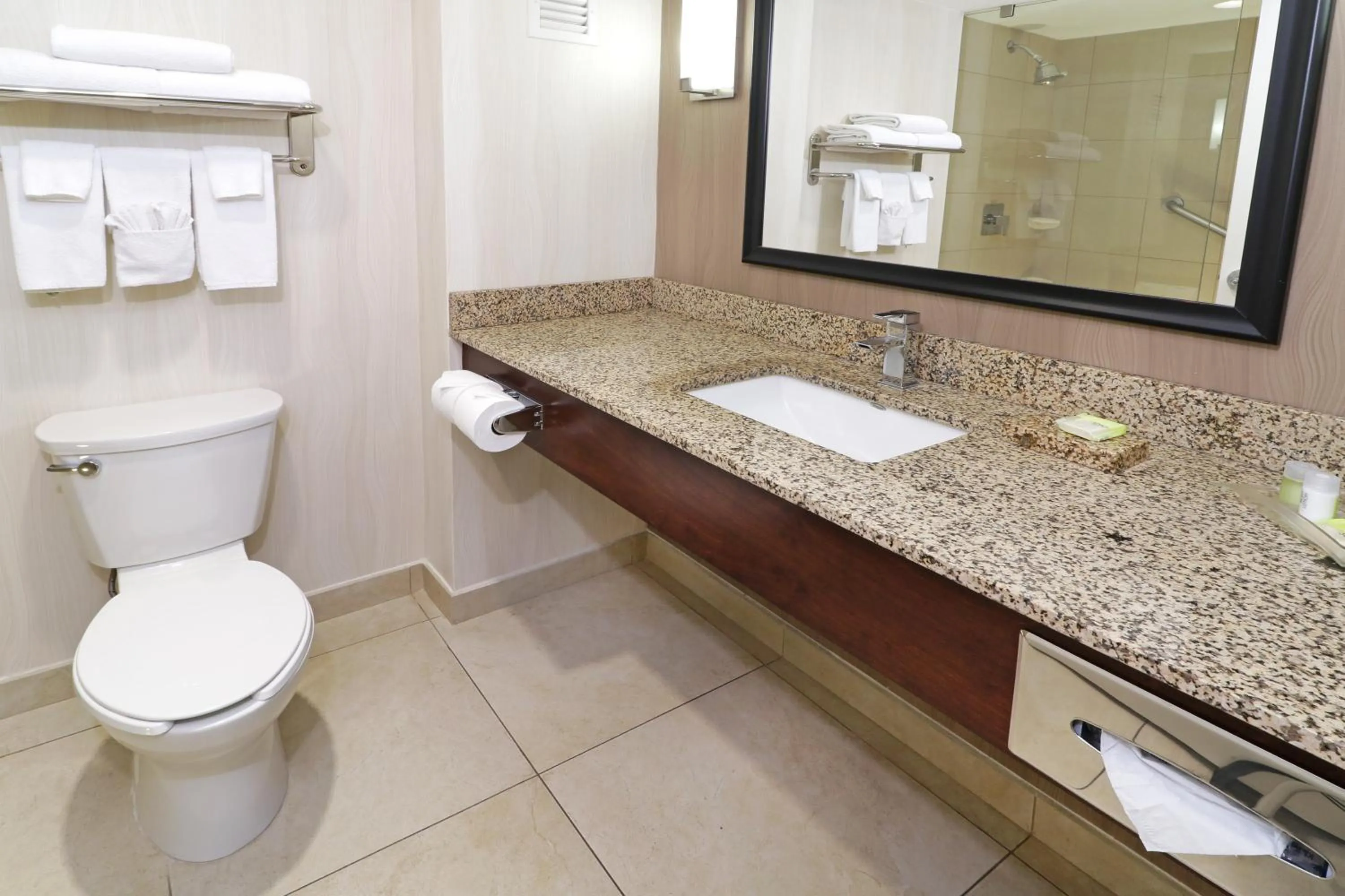 Bathroom in Holiday Inn Hotel & Suites Hermosillo Aeropuerto by IHG