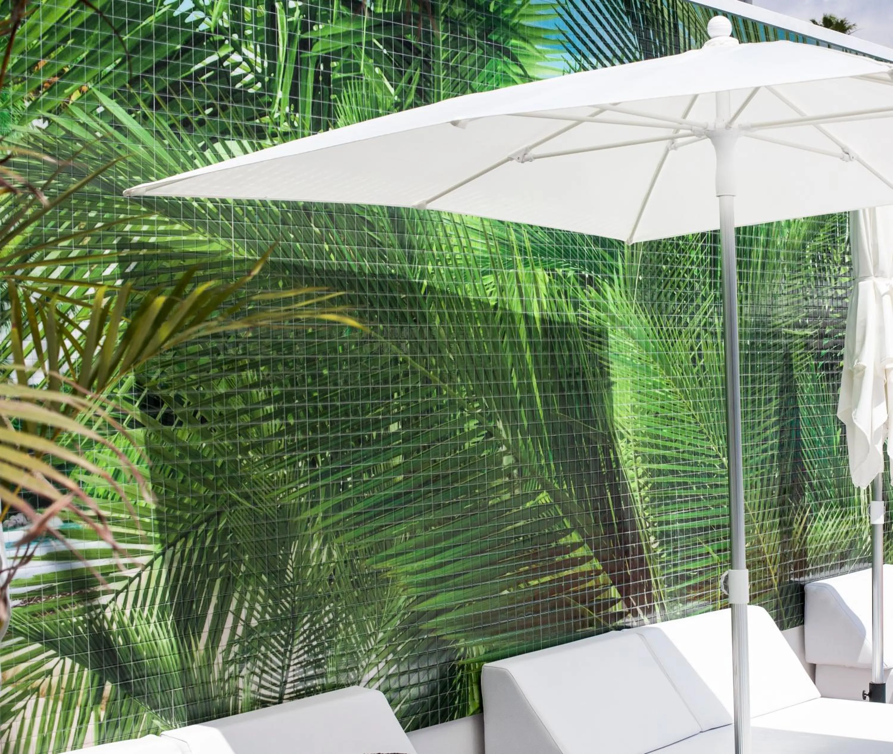 Swimming pool in Vanilla Garden Boutique Hotel - Adults Only