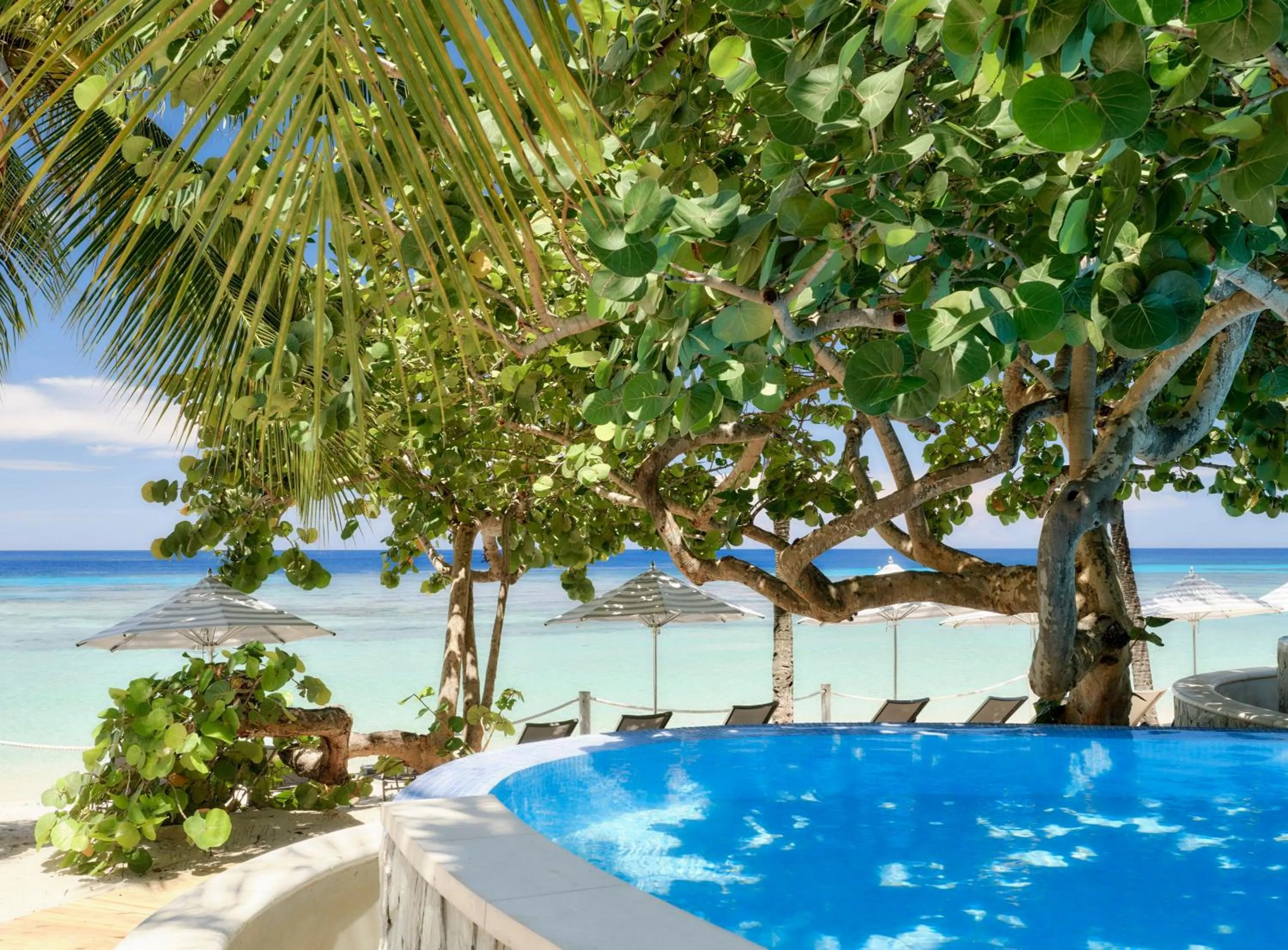 Swimming pool in Kimpton - Grand Roatan Resort and Spa