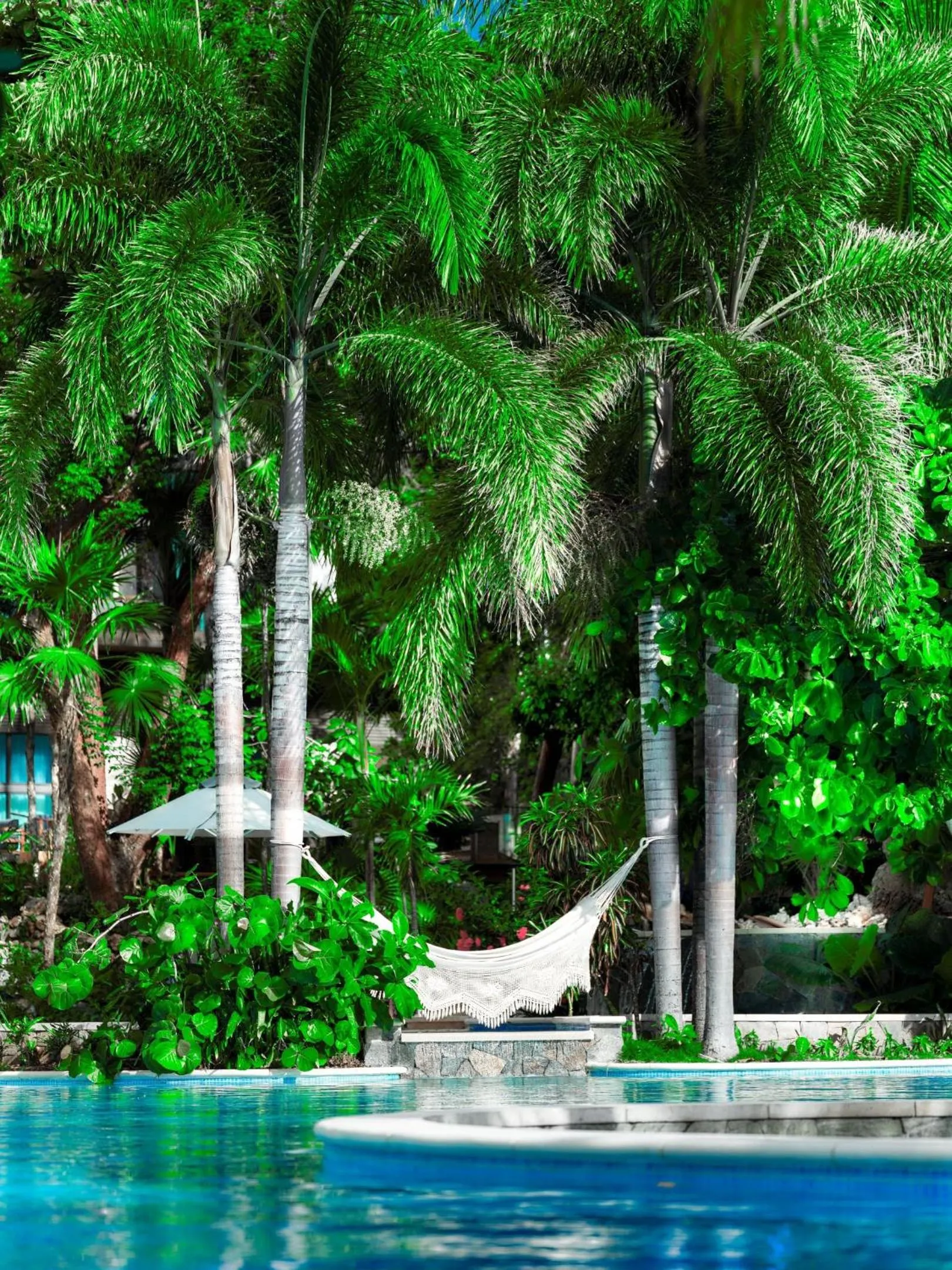 Swimming pool in Kimpton - Grand Roatan Resort and Spa