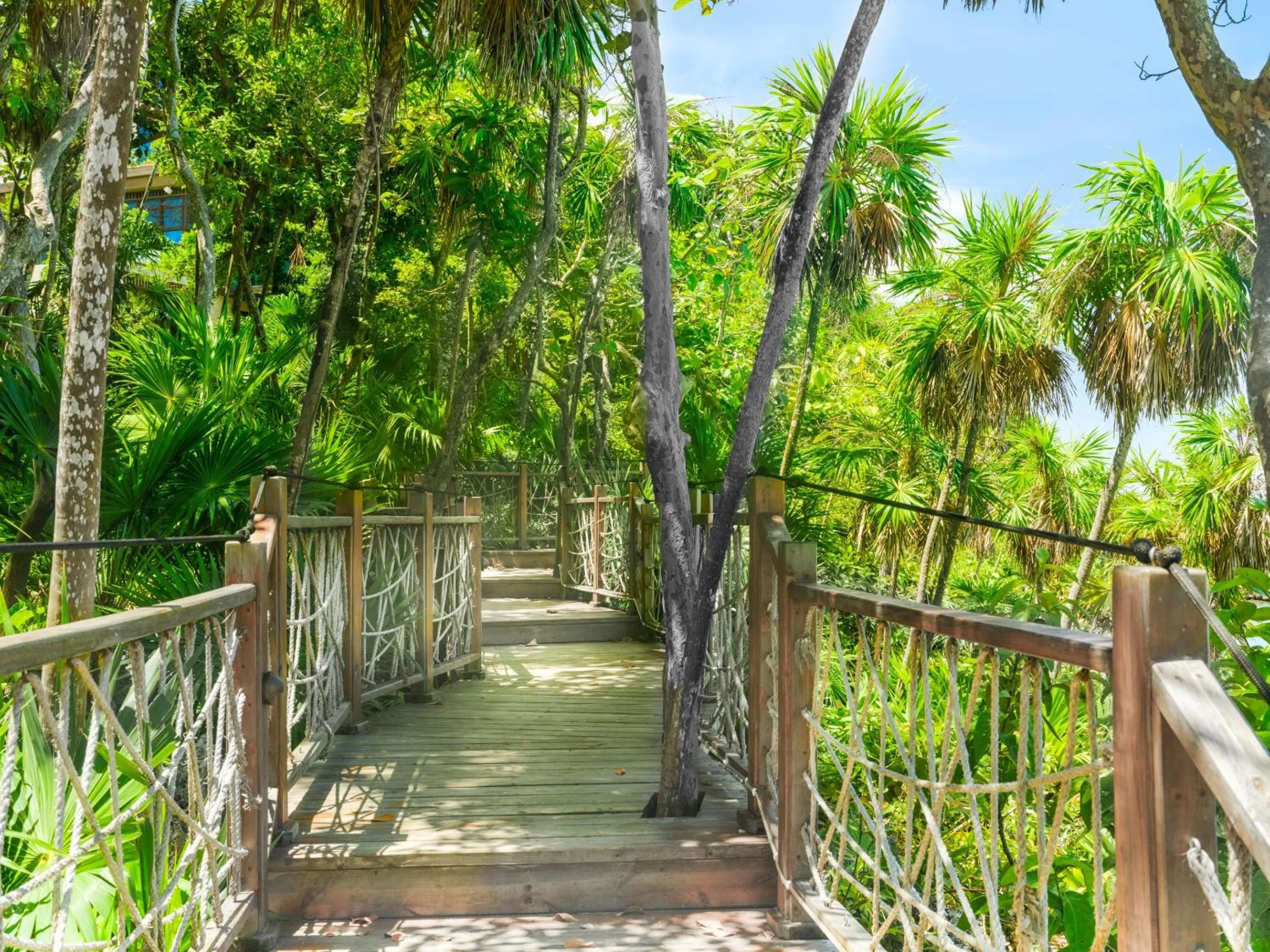 Other in Kimpton - Grand Roatan Resort and Spa