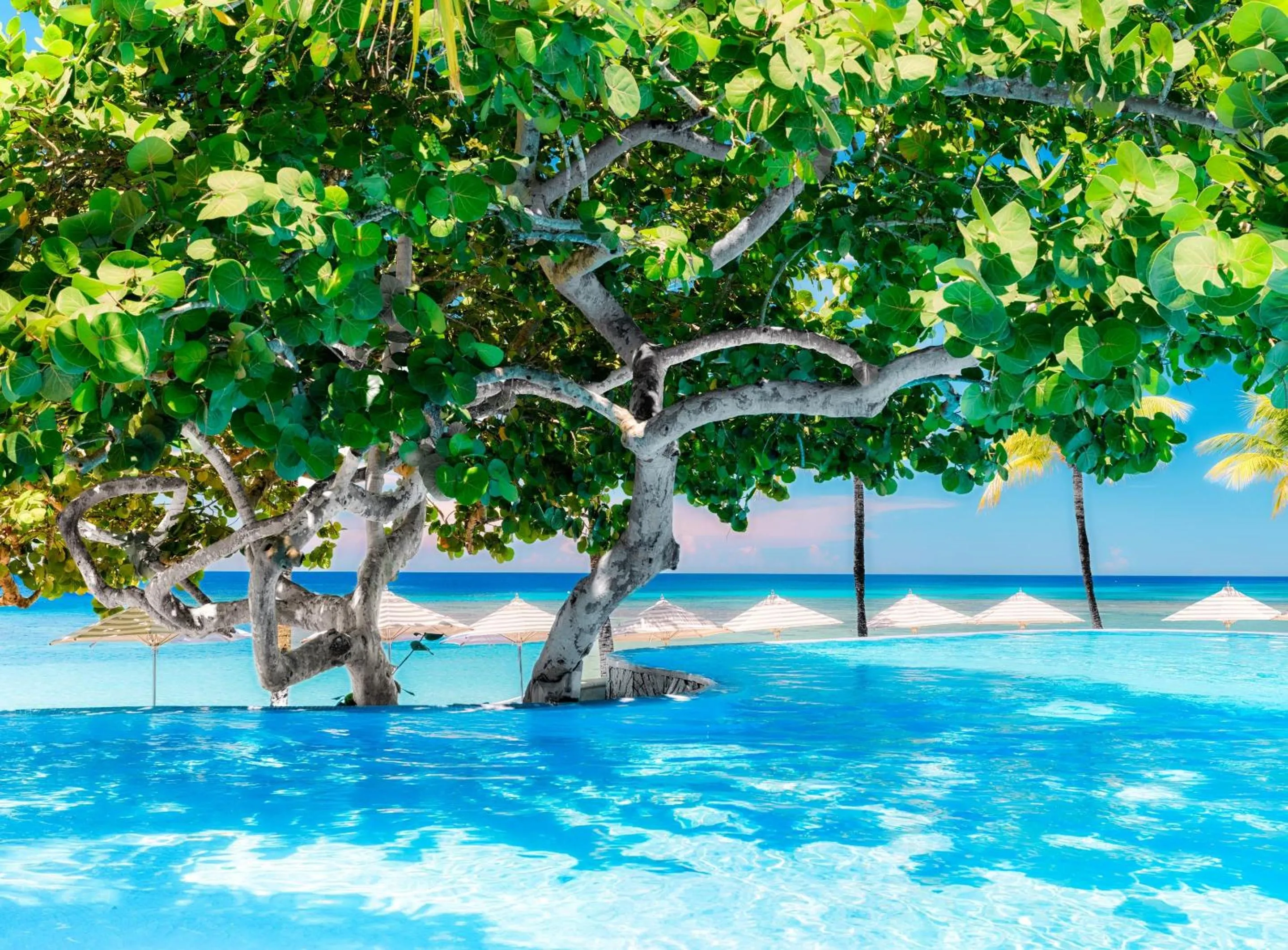 Swimming pool in Kimpton - Grand Roatan Resort and Spa