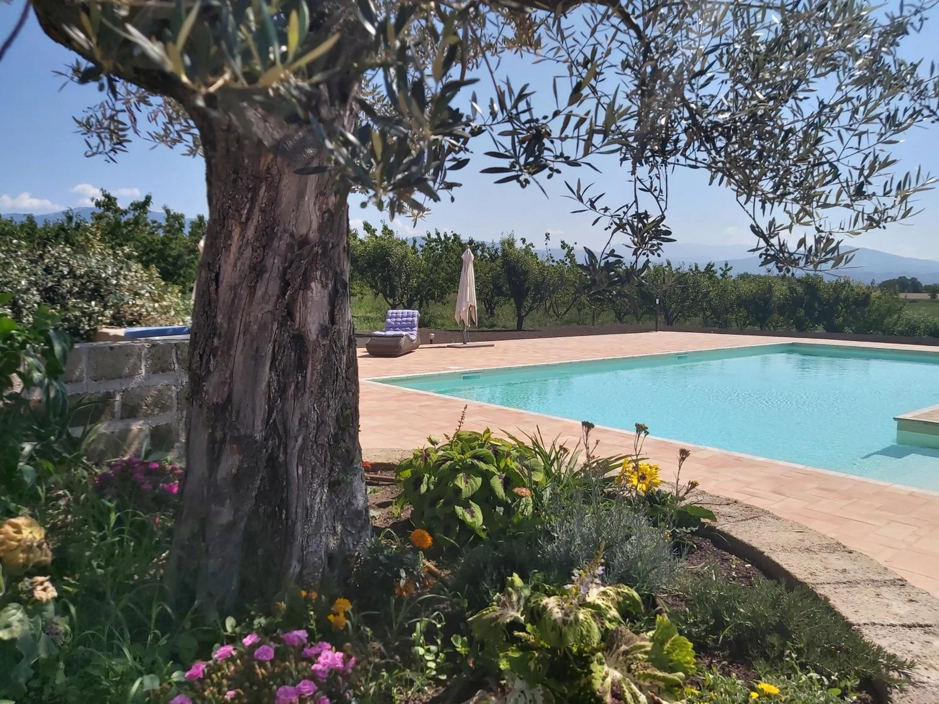 Pool view in Tenuta Terre dei Latini