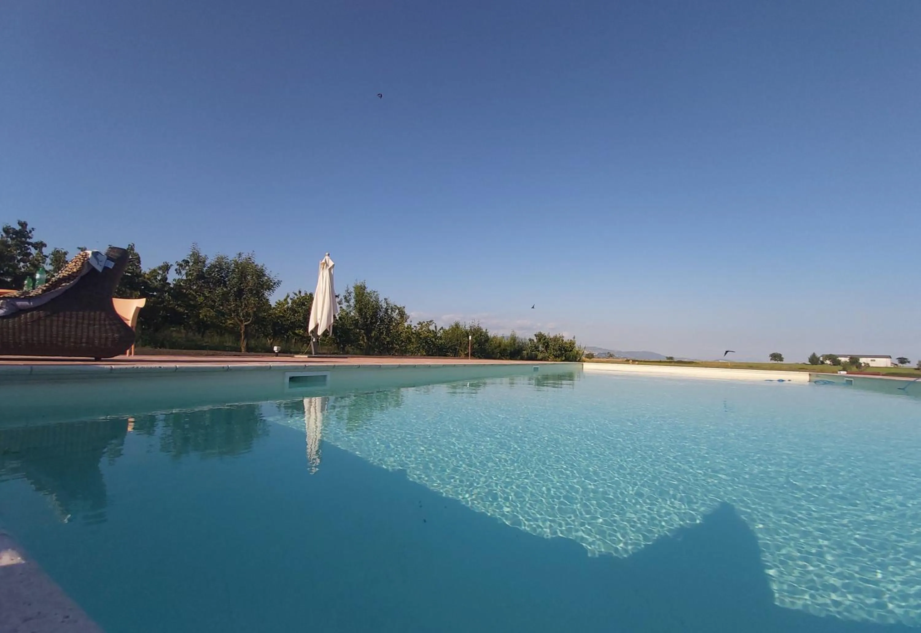 Swimming pool in Tenuta Terre dei Latini
