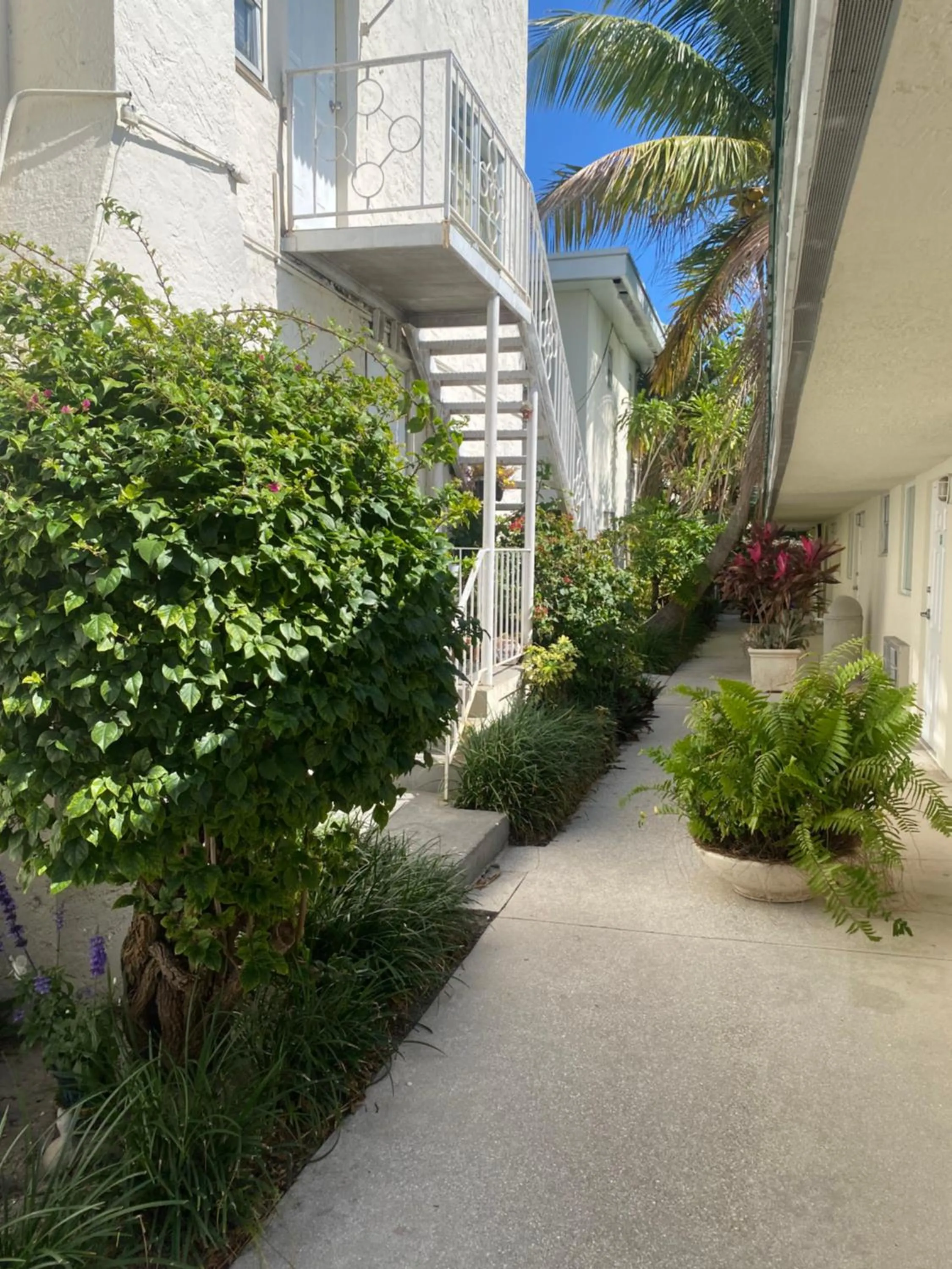 Garden view in Queens Lodge Motel