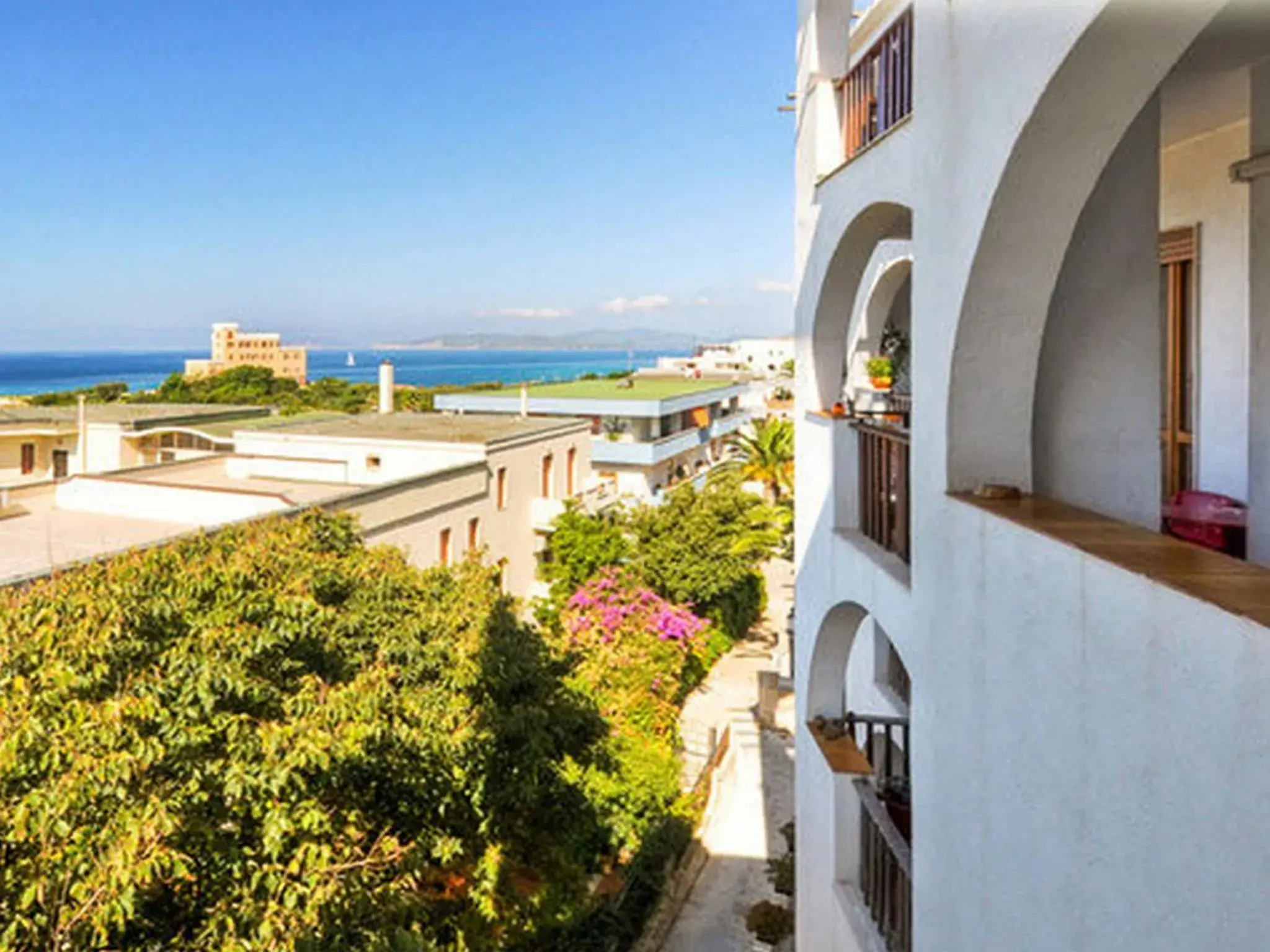 B&B Asteroidea B&B Asteroidea