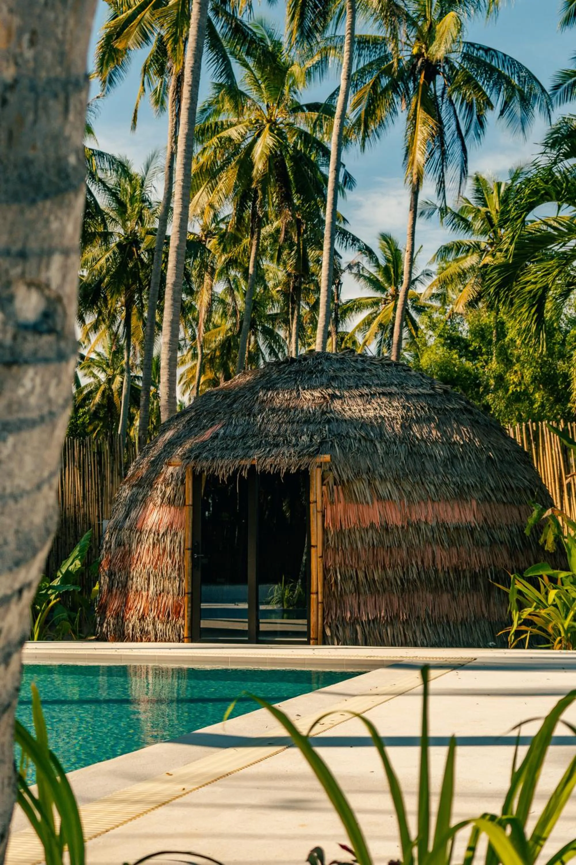 Garden view in The Dome Hotel Puerto Princesa City