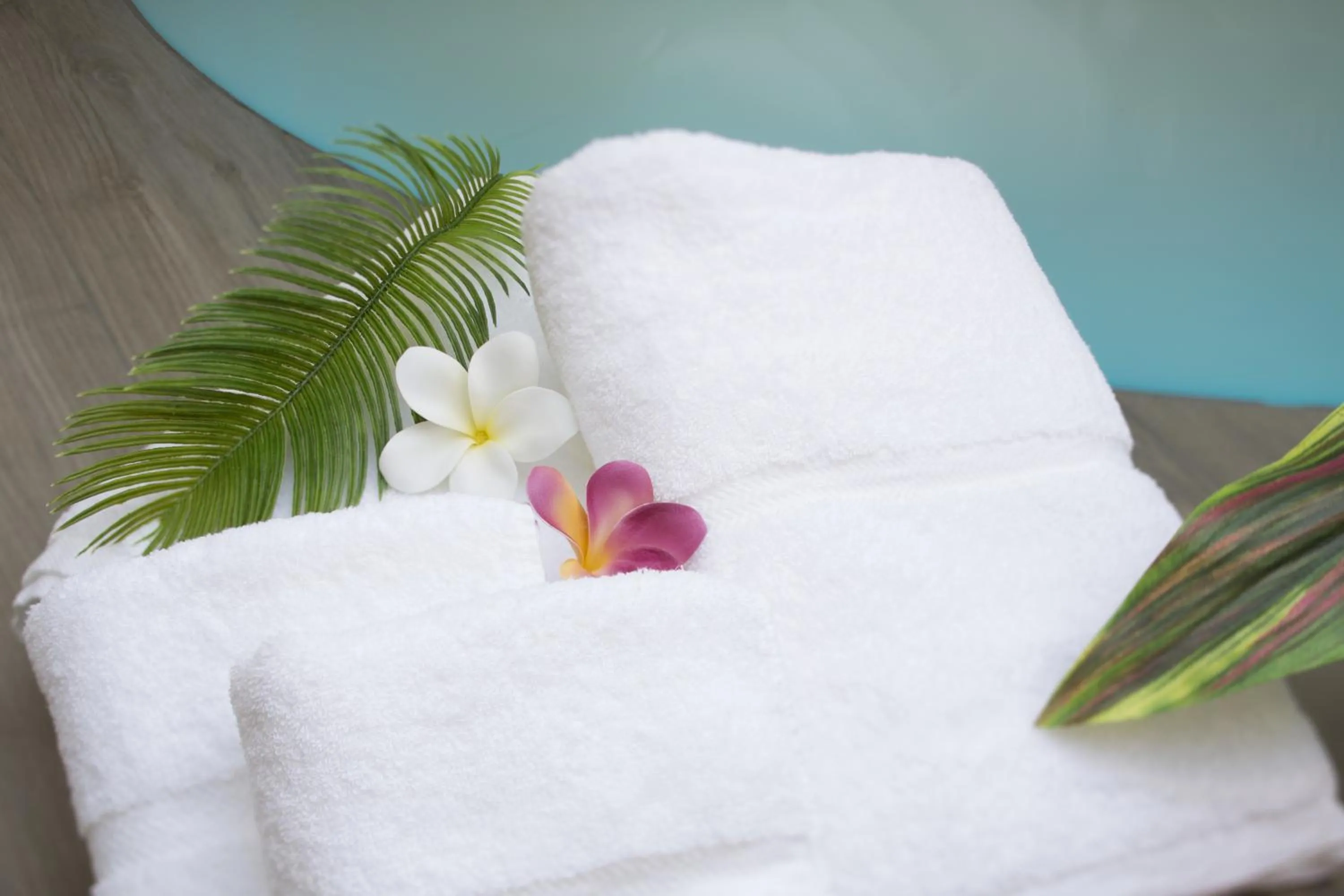 Other in Hotel In The Green (Adult Only)