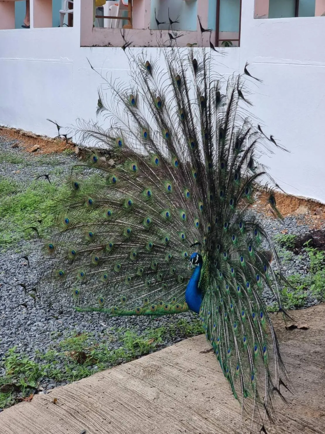 Day in Private Paradise Resort