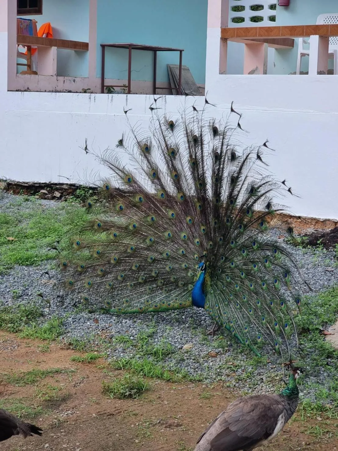 Day in Private Paradise Resort