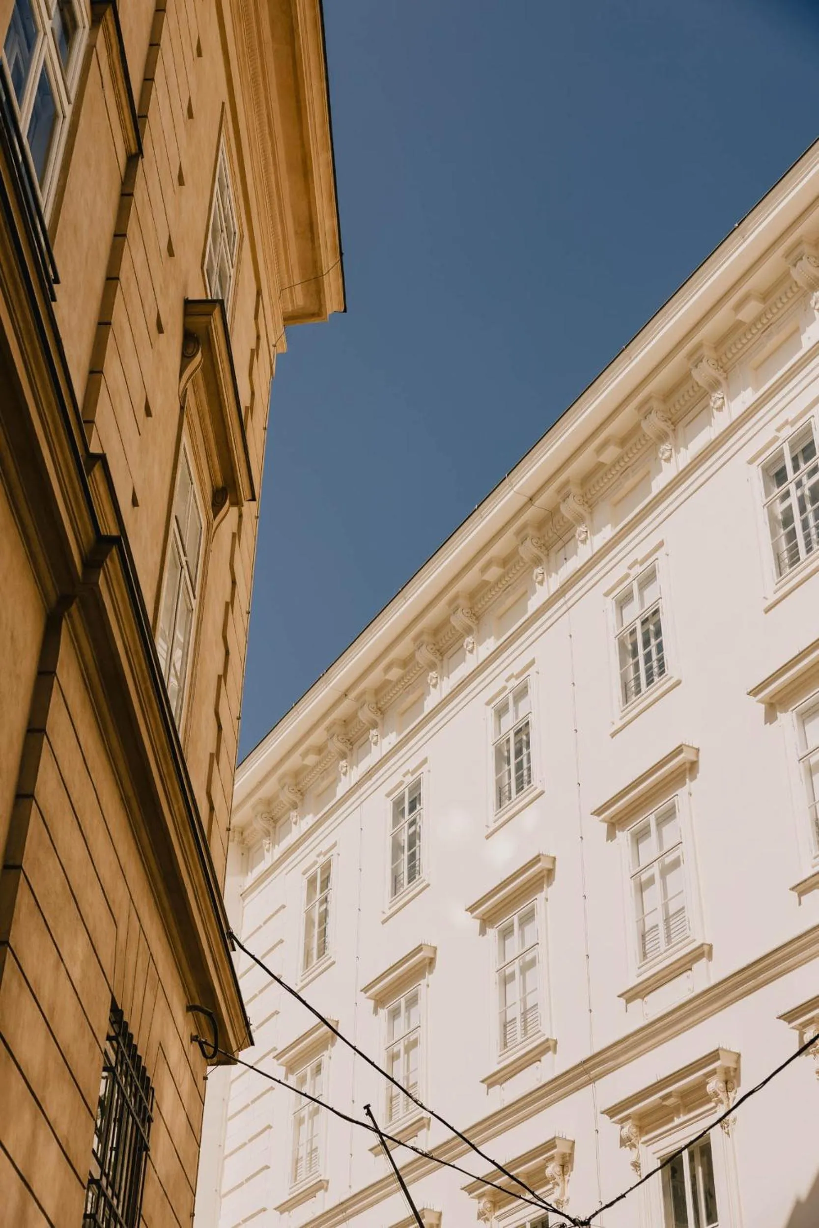 Property building in Wilde Vienna Fleischmarkt