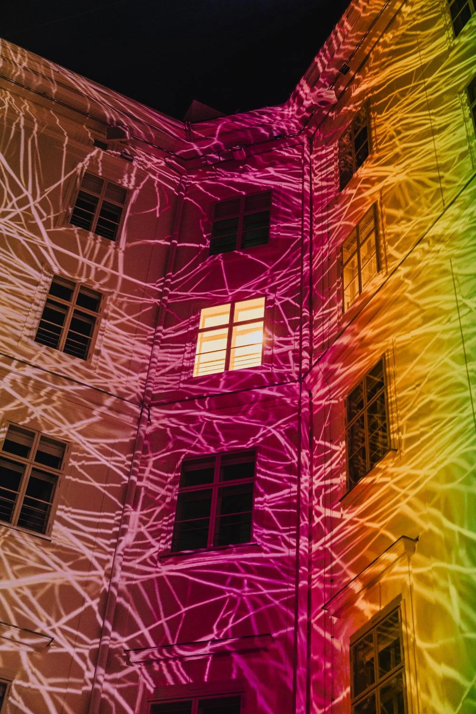 Night in Wilde Vienna Fleischmarkt