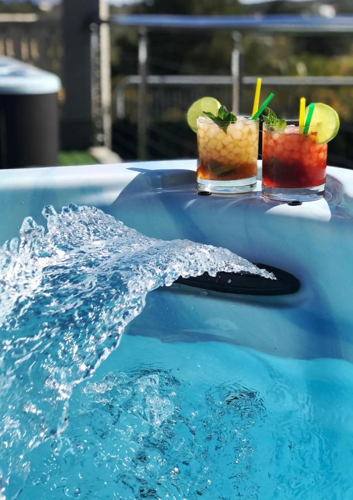 Swimming pool in Primavera Loix