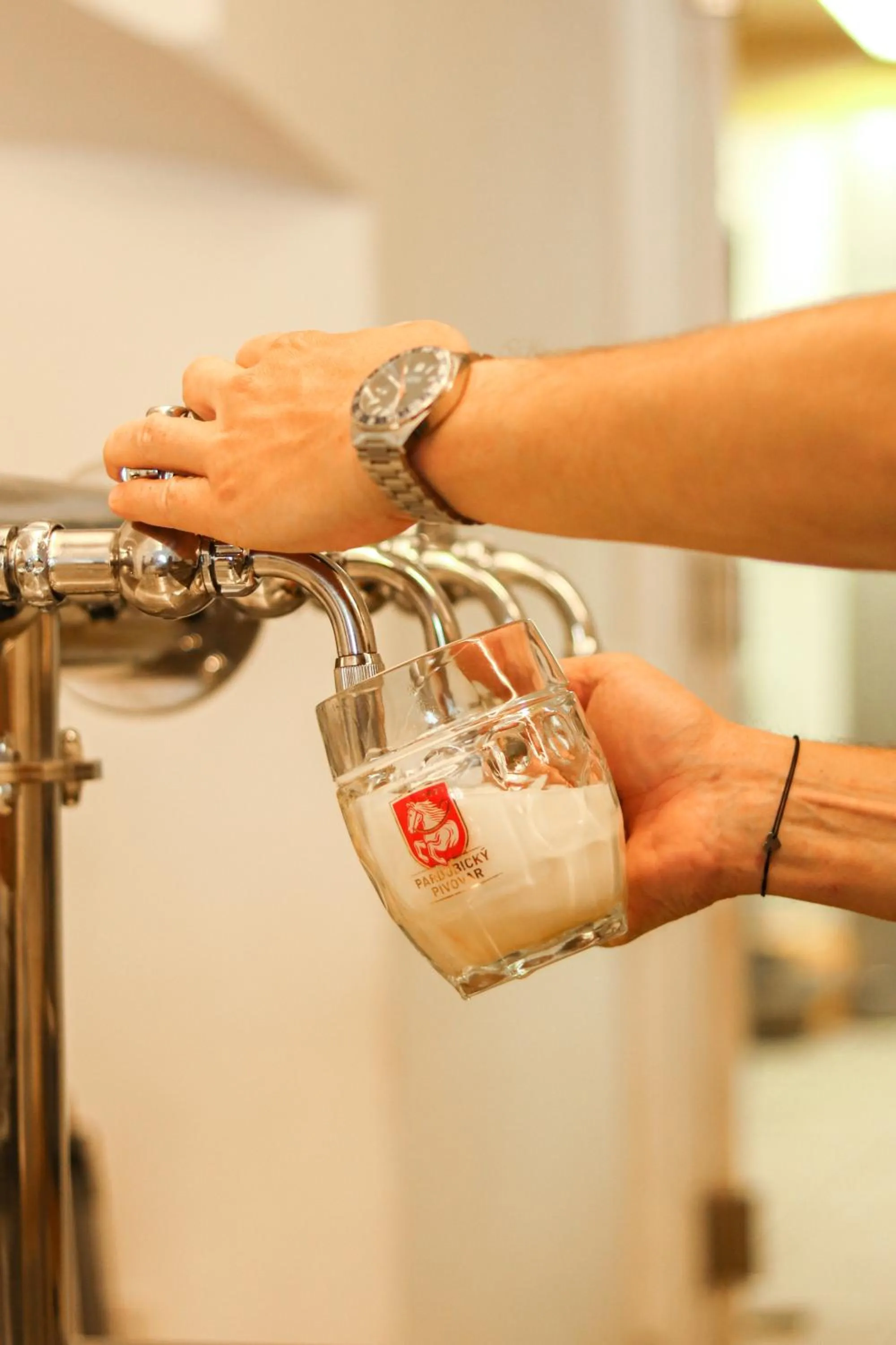 Penzion Tlustá kachna