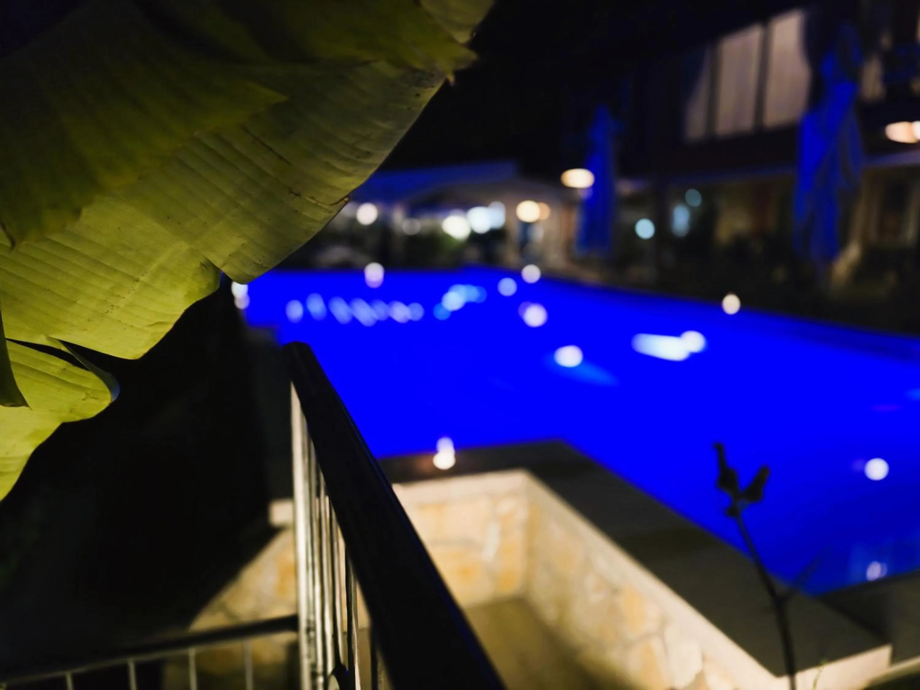 Swimming pool in Relais Villa Olivi