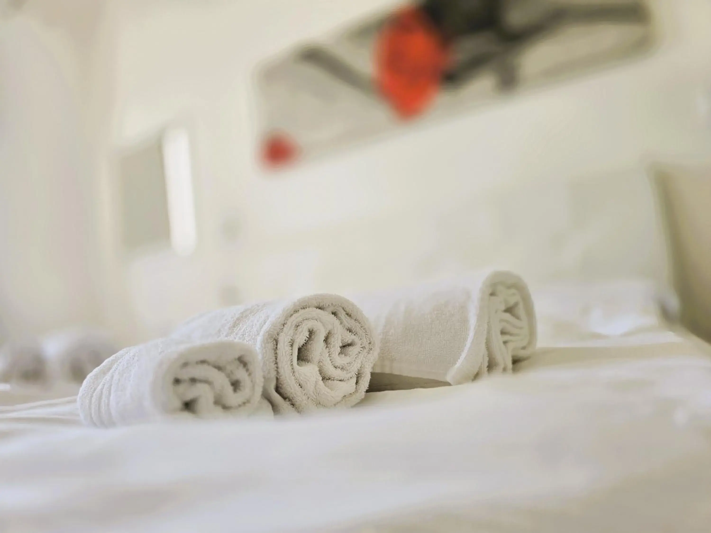 Superior One-Bedroom Apartment with Balcony in Relais Villa Olivi Superior One-Bedroom Apartment with Balcony in Relais Villa Olivi