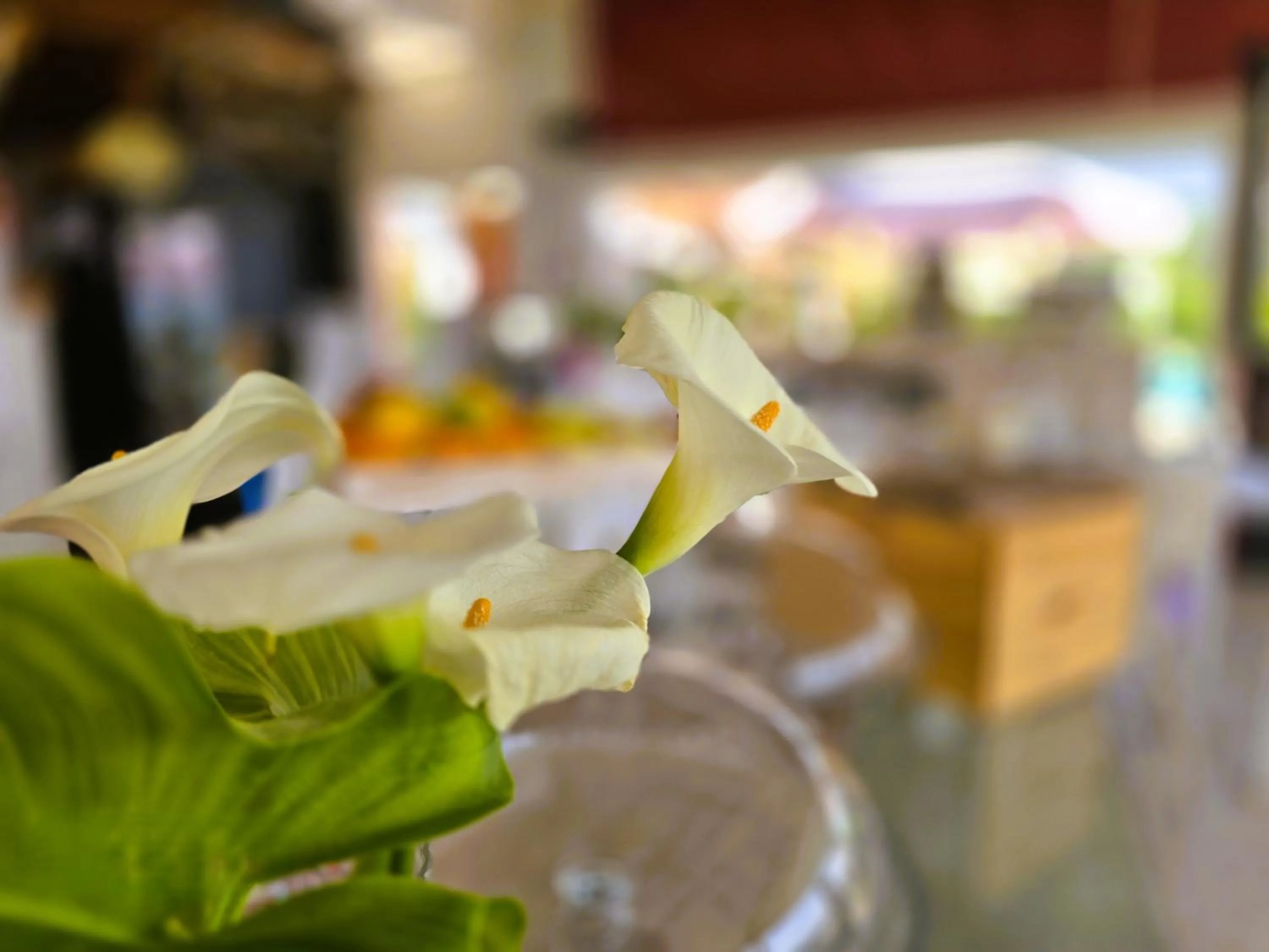 Restaurant/places to eat in Relais Villa Olivi