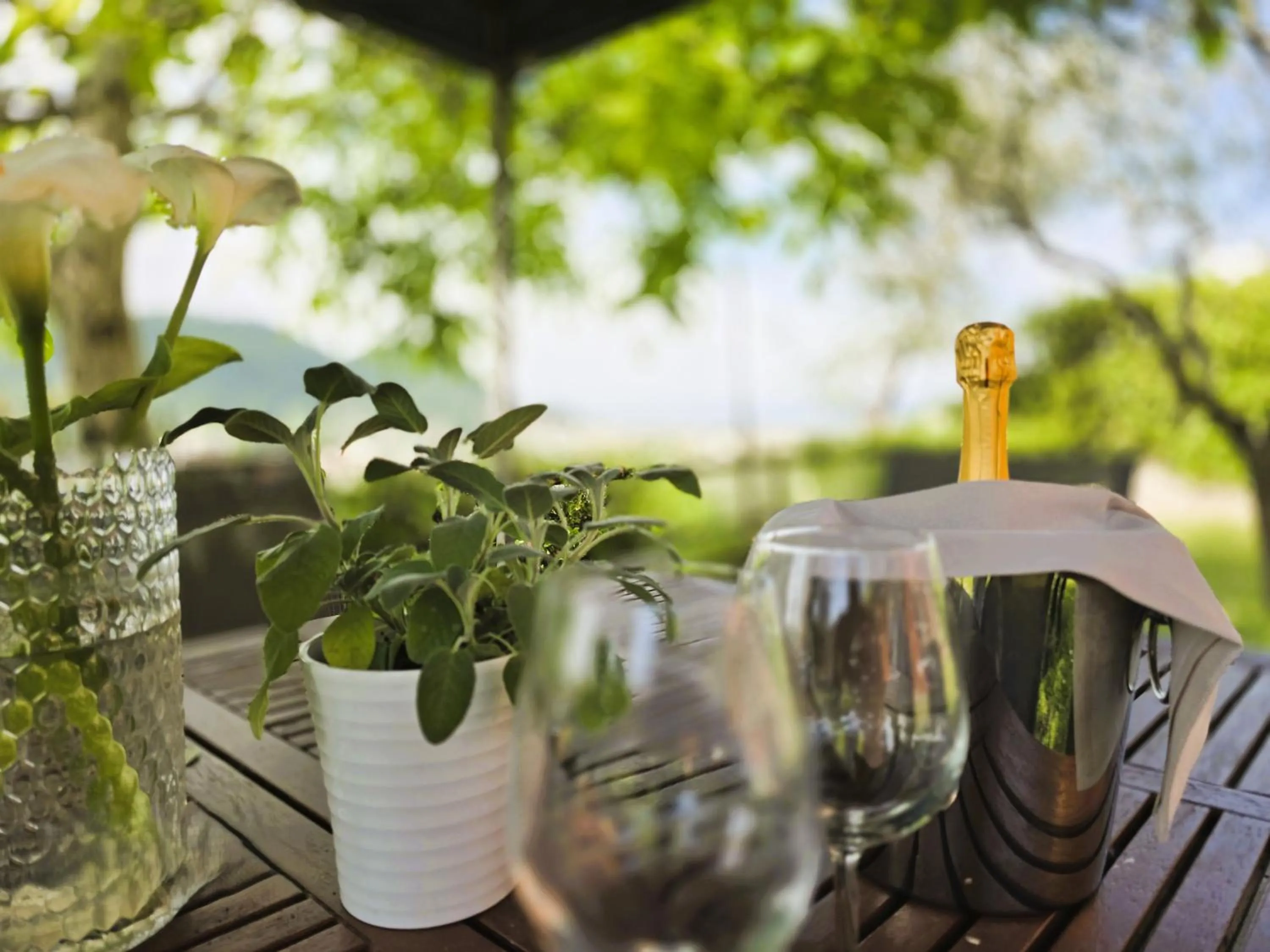 Garden in Relais Villa Olivi