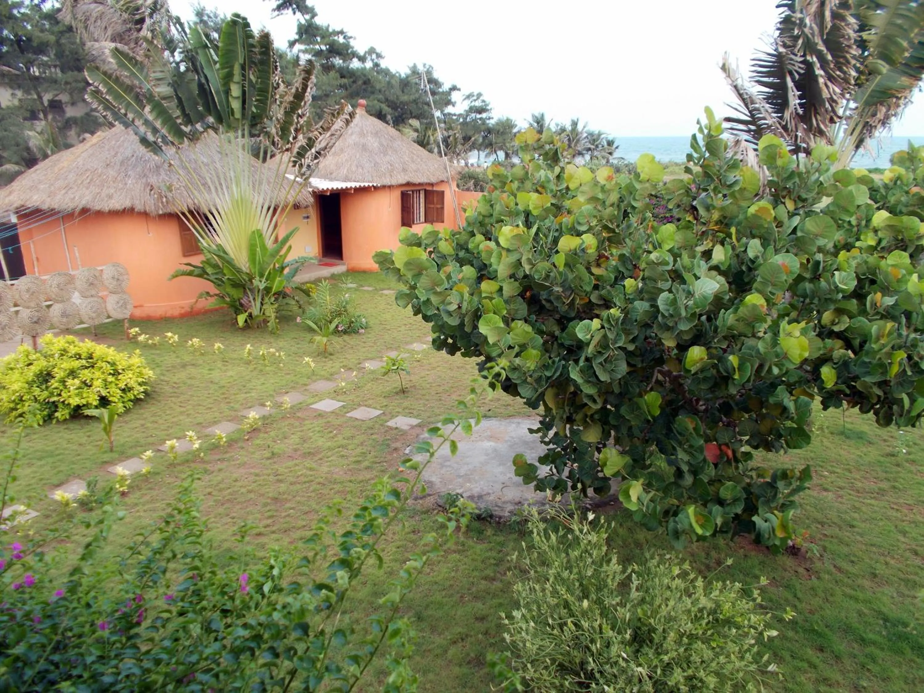 Neighbourhood in Hôtel Alizé Plage