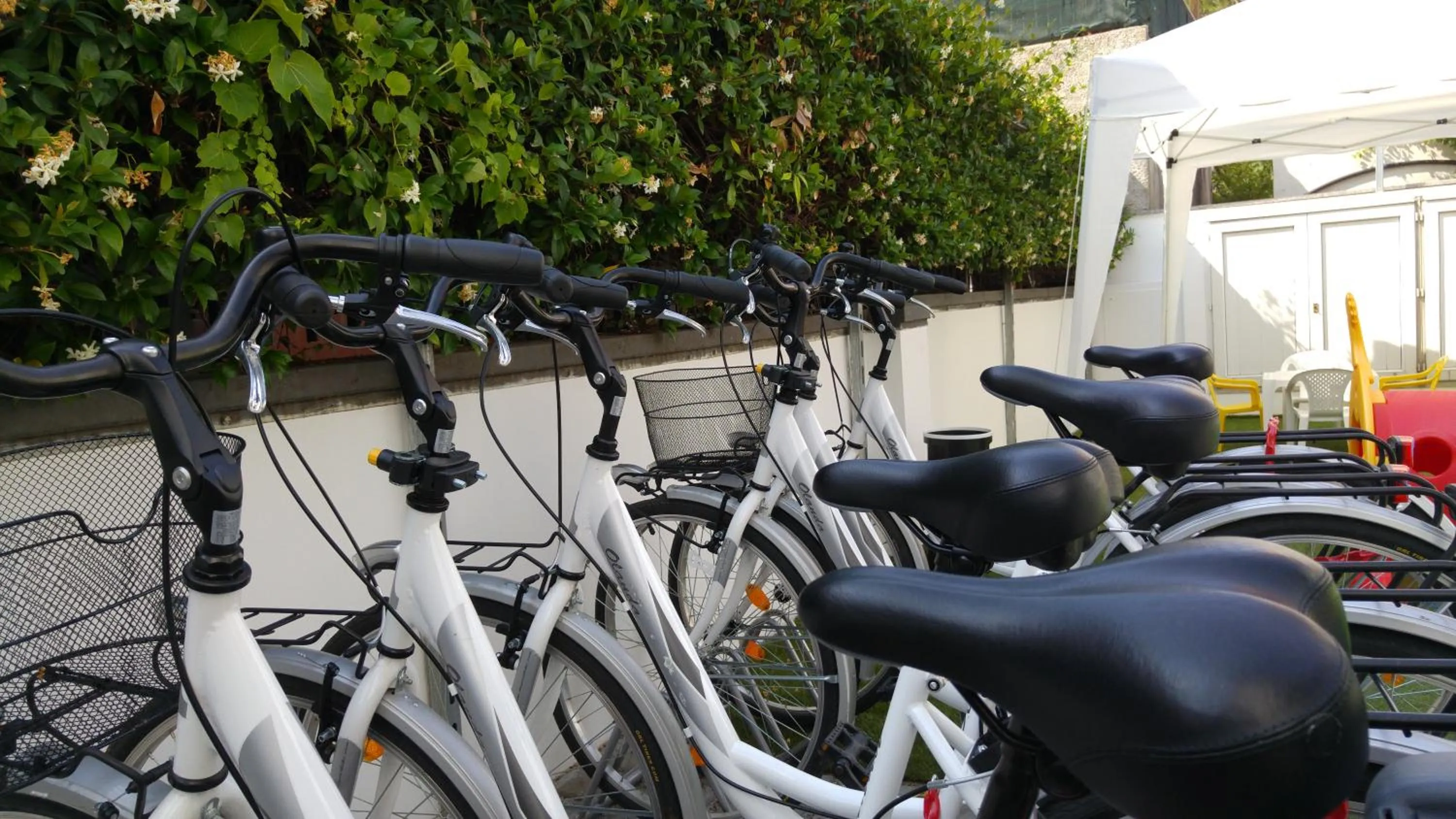 Area and facilities in Residence Altea