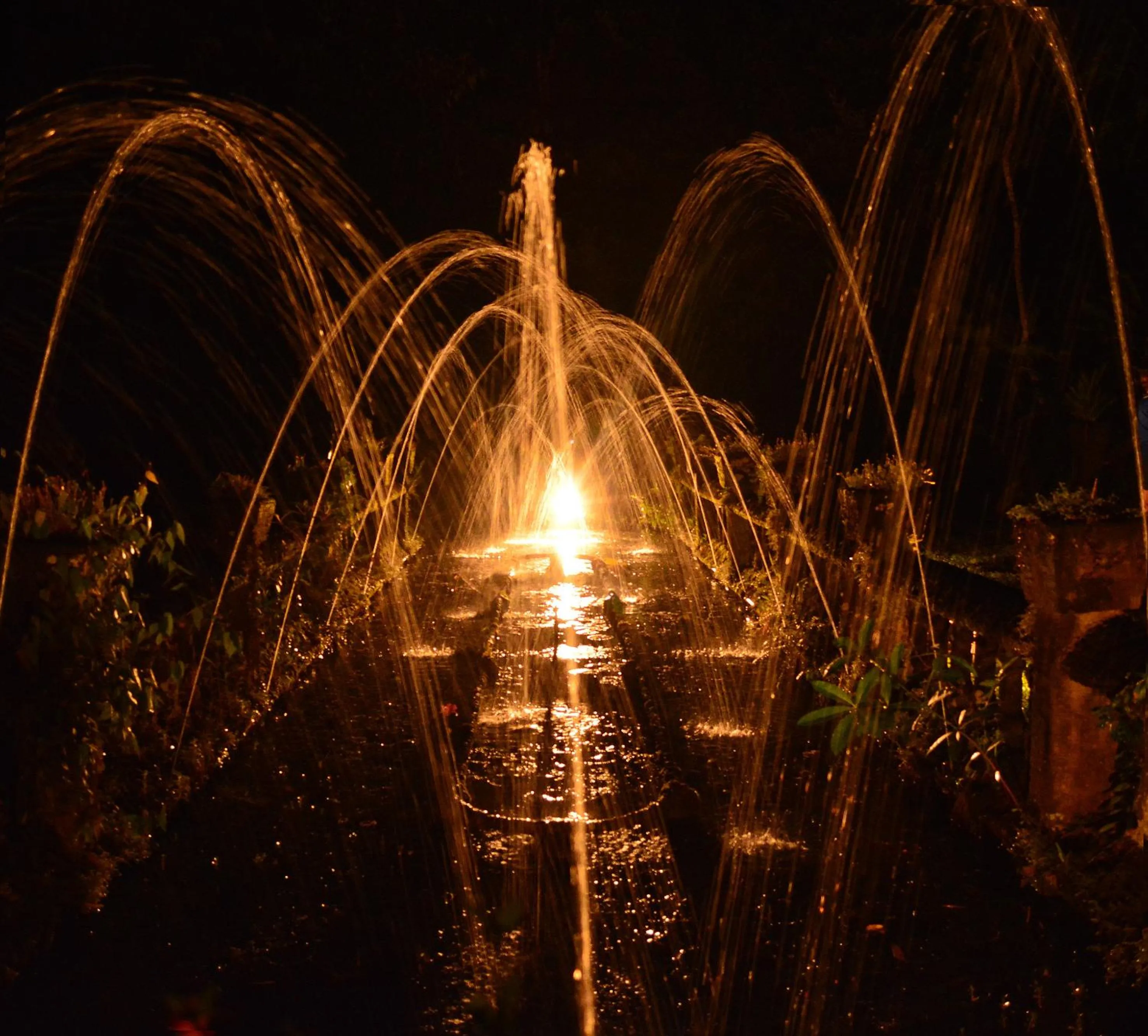 Off site in Tropical Bliss bed and breakfast