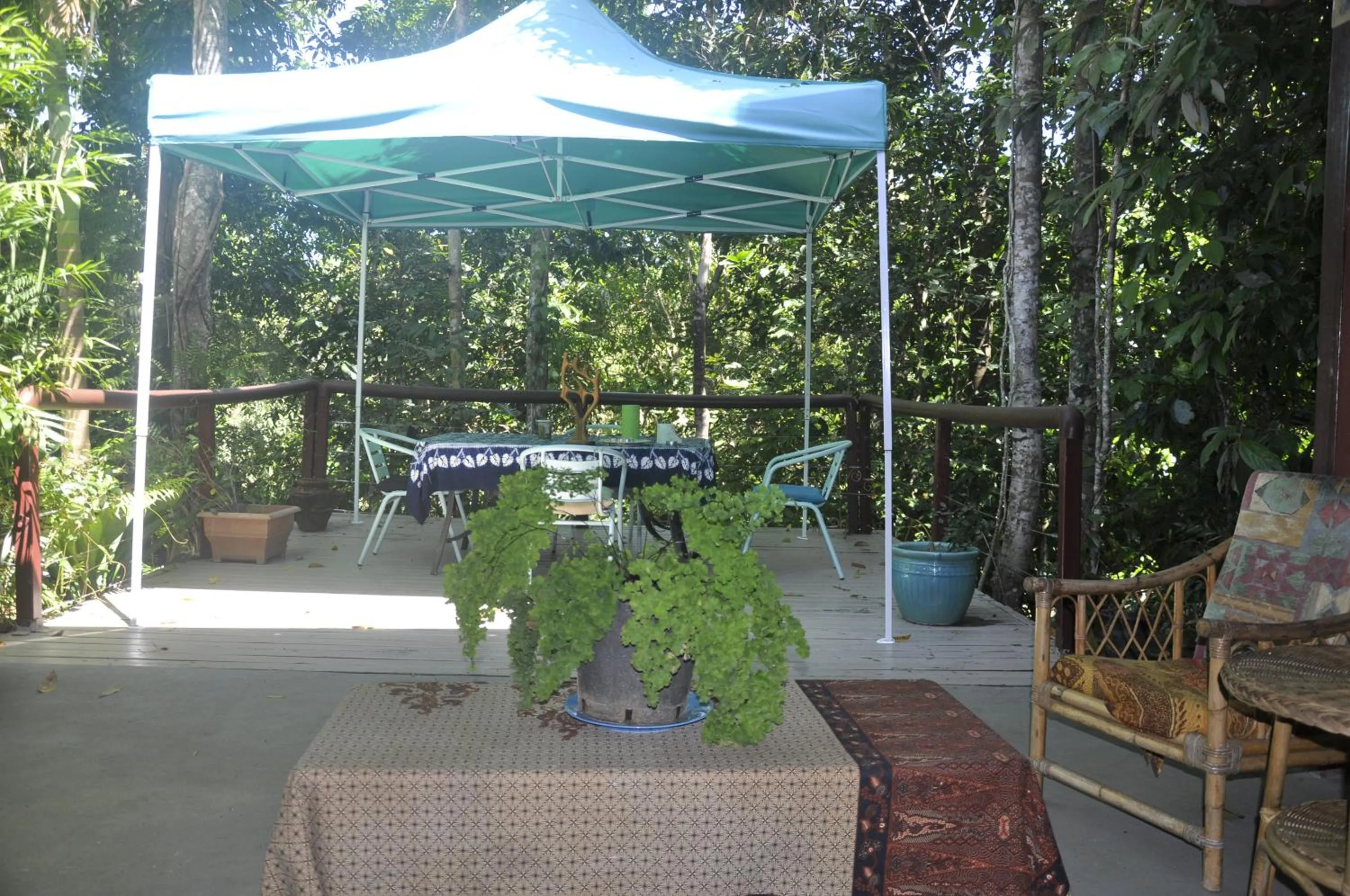 Balcony/Terrace in Tropical Bliss bed and breakfast