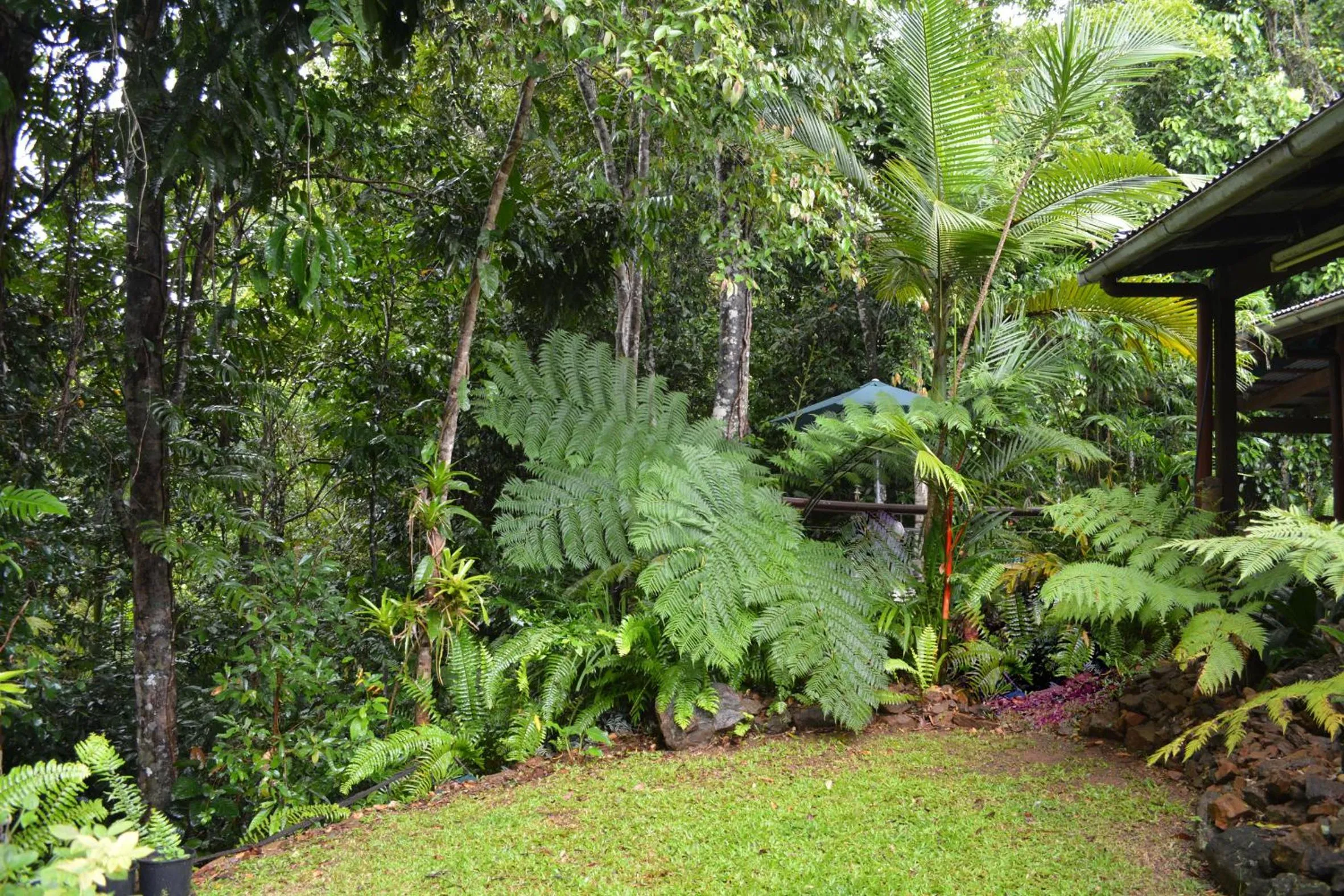 Garden in Tropical Bliss bed and breakfast