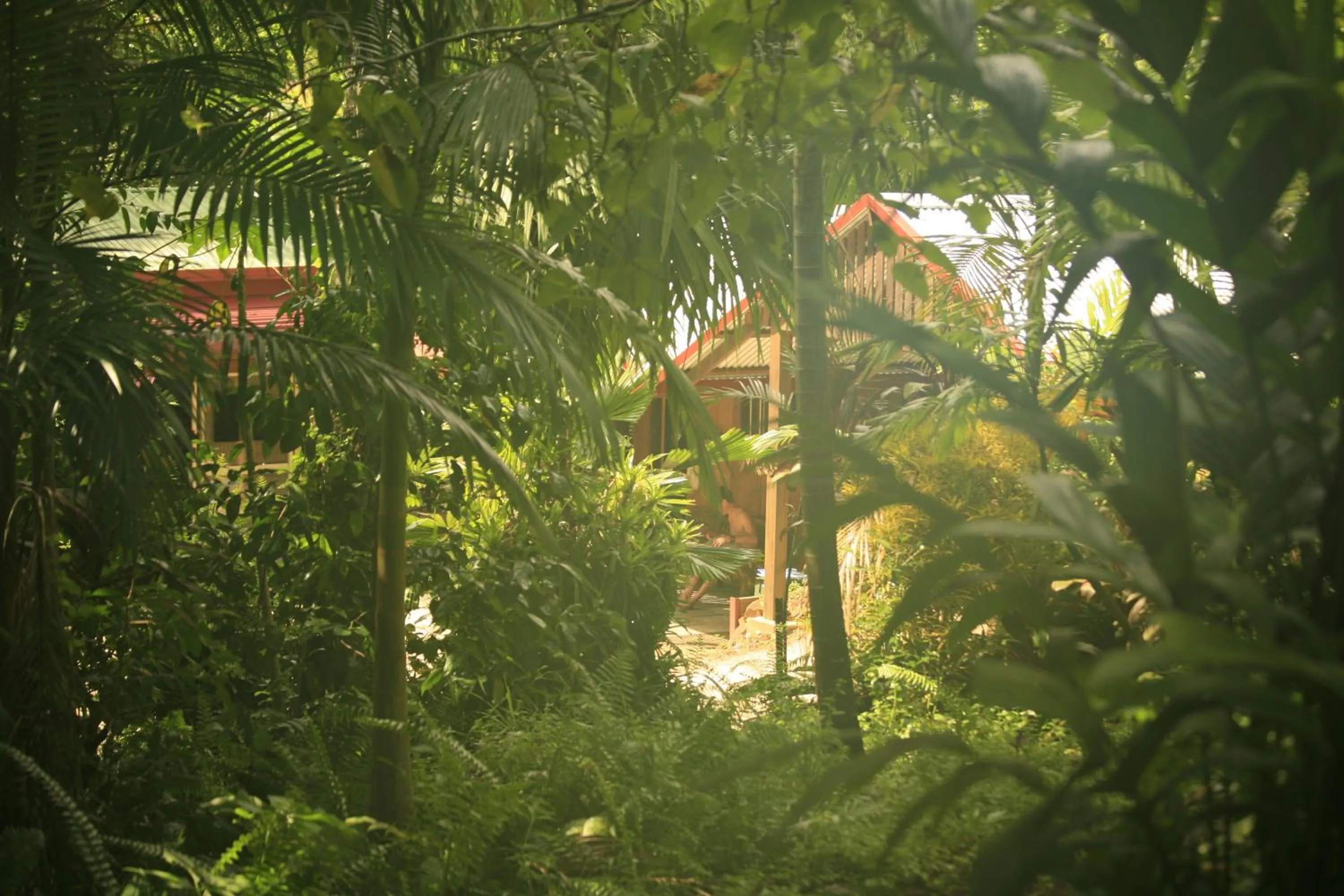 Garden in Tropical Bliss bed and breakfast