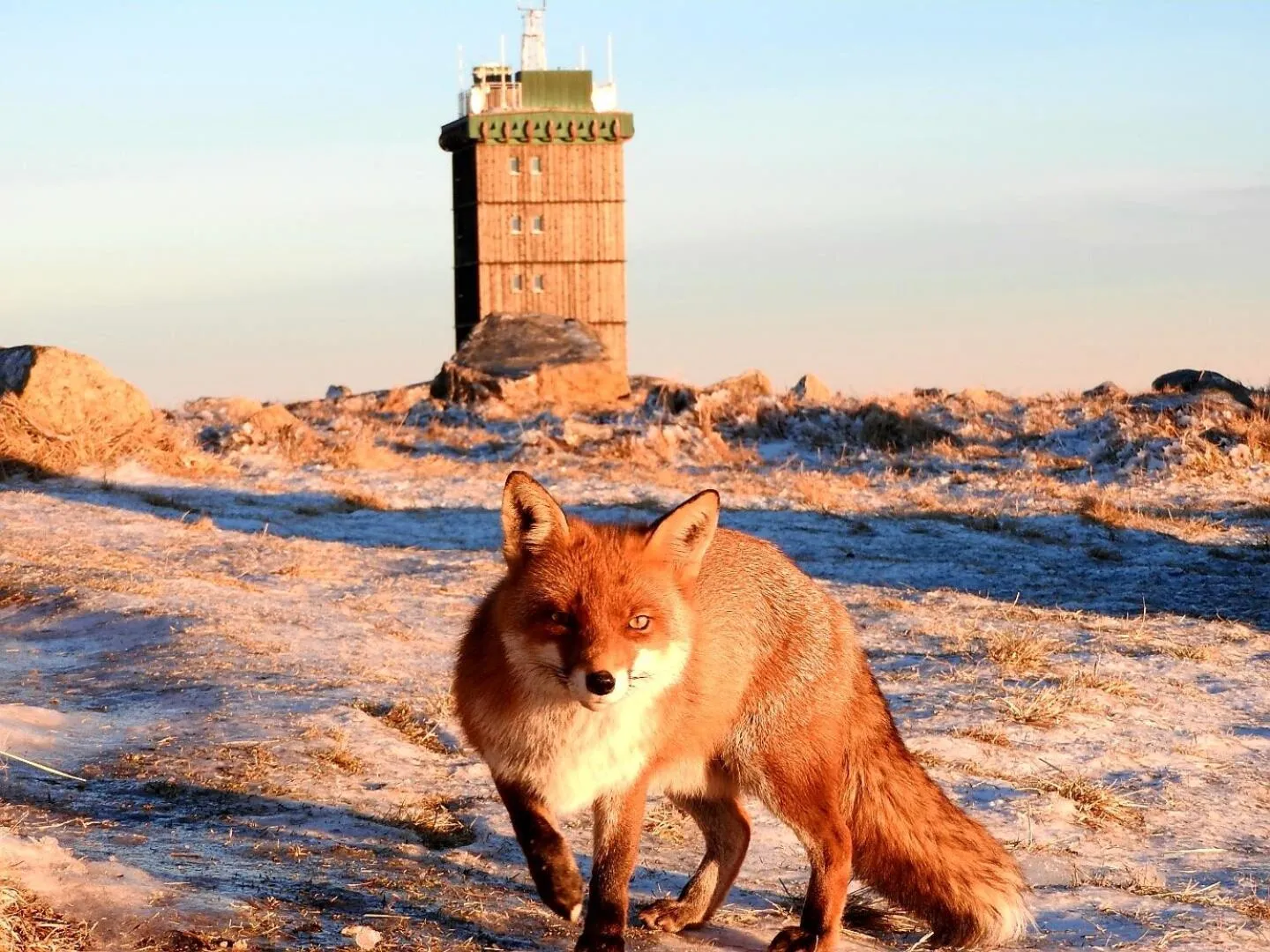 Other in Hotel Waldmühle