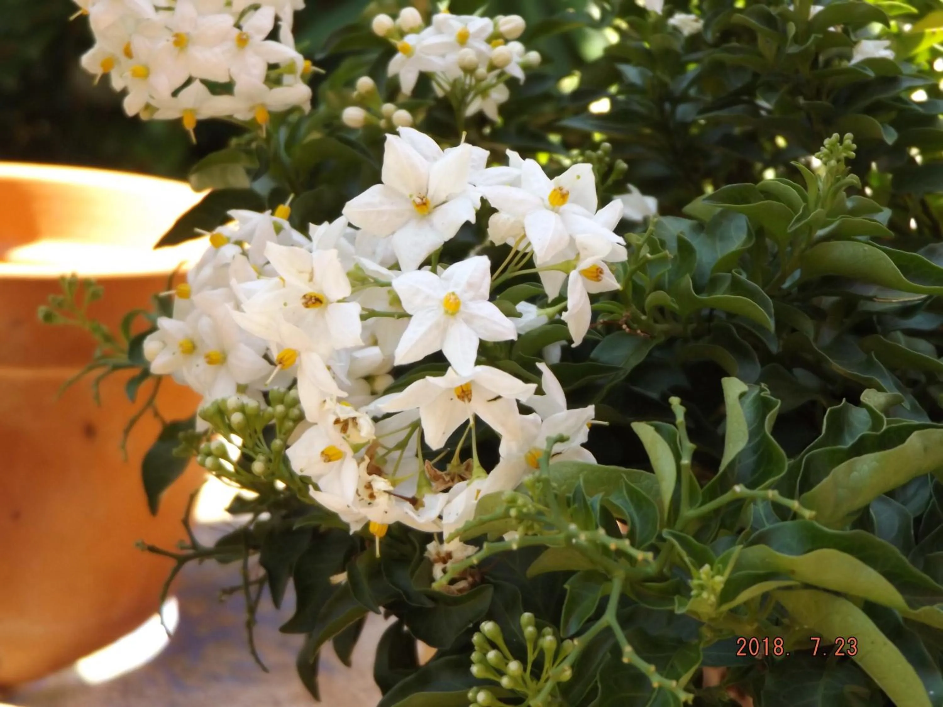 Decorative detail in B&B Artistic House
