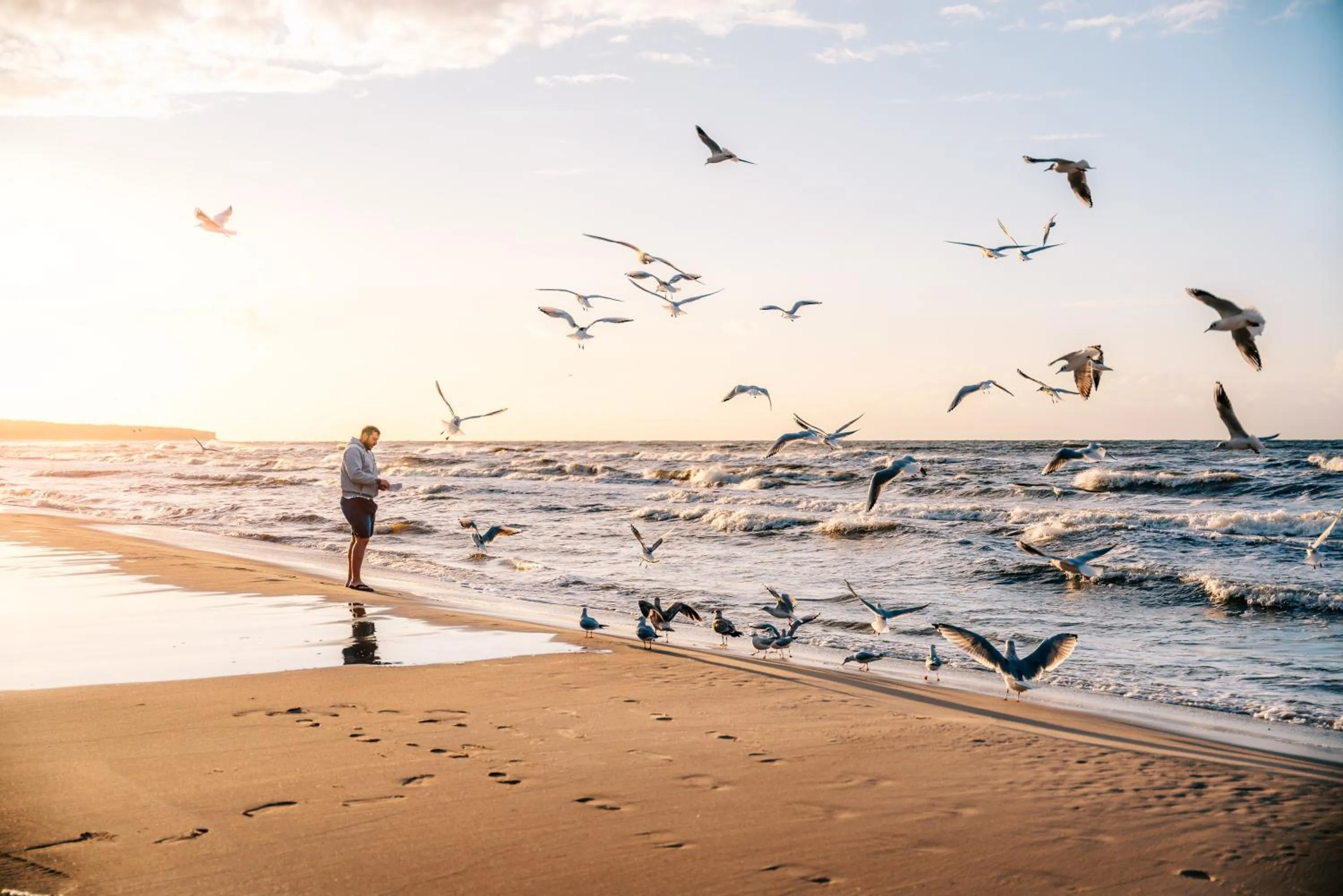 Beach in Nickel Resort & Wellnest Kołobrzeg - Grzybowo