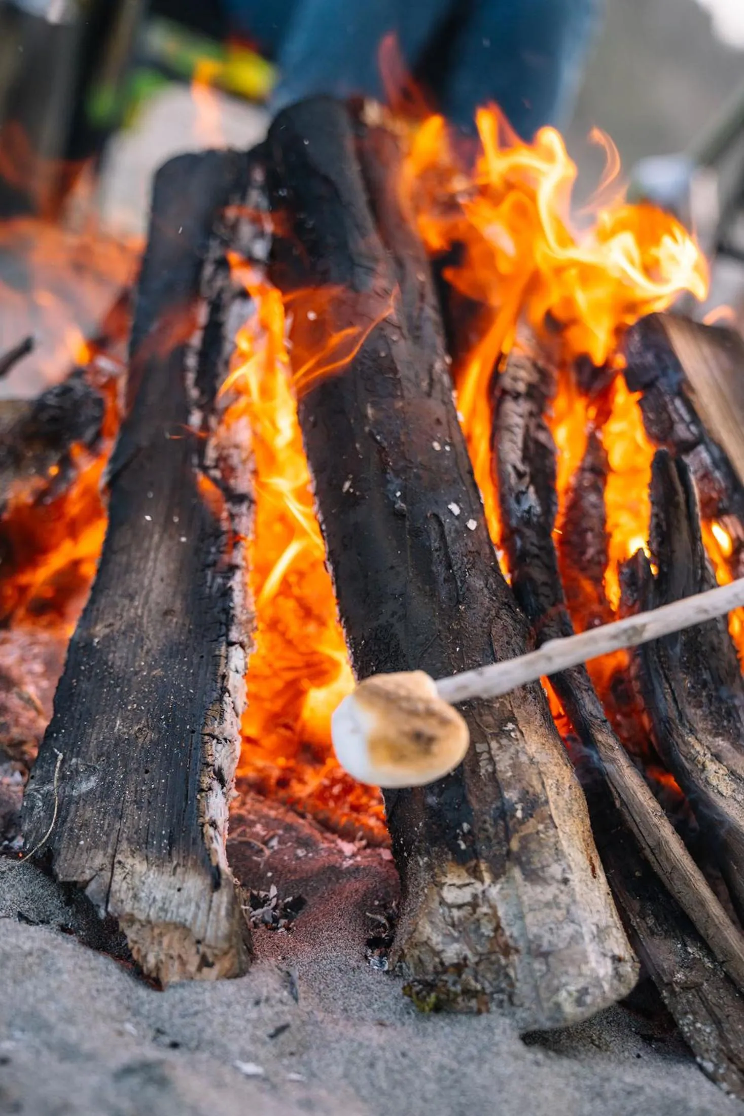Beach in Salt Hotel & Pub