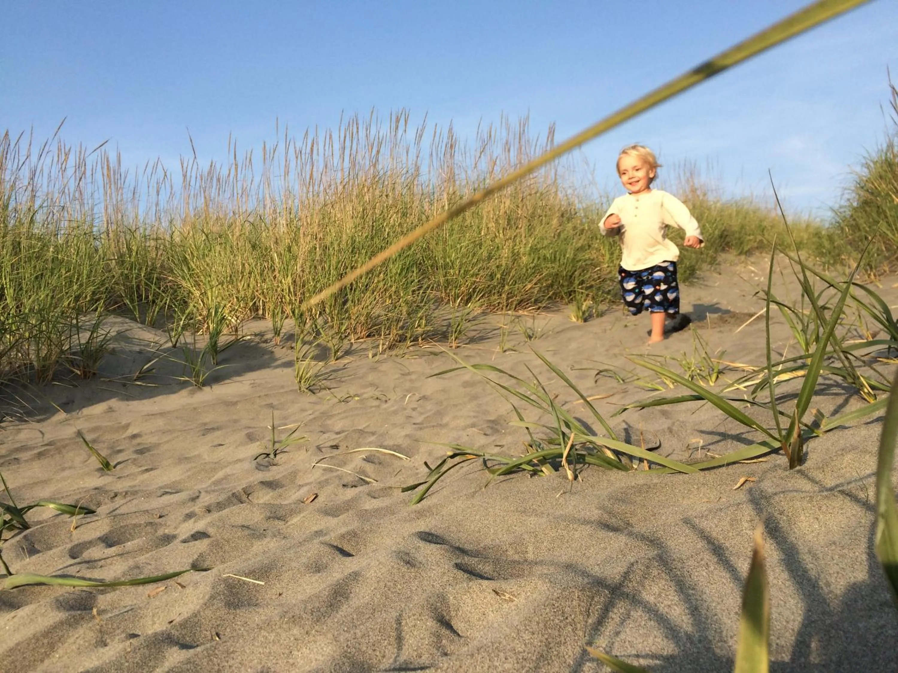 Day in Salt Hotel & Pub