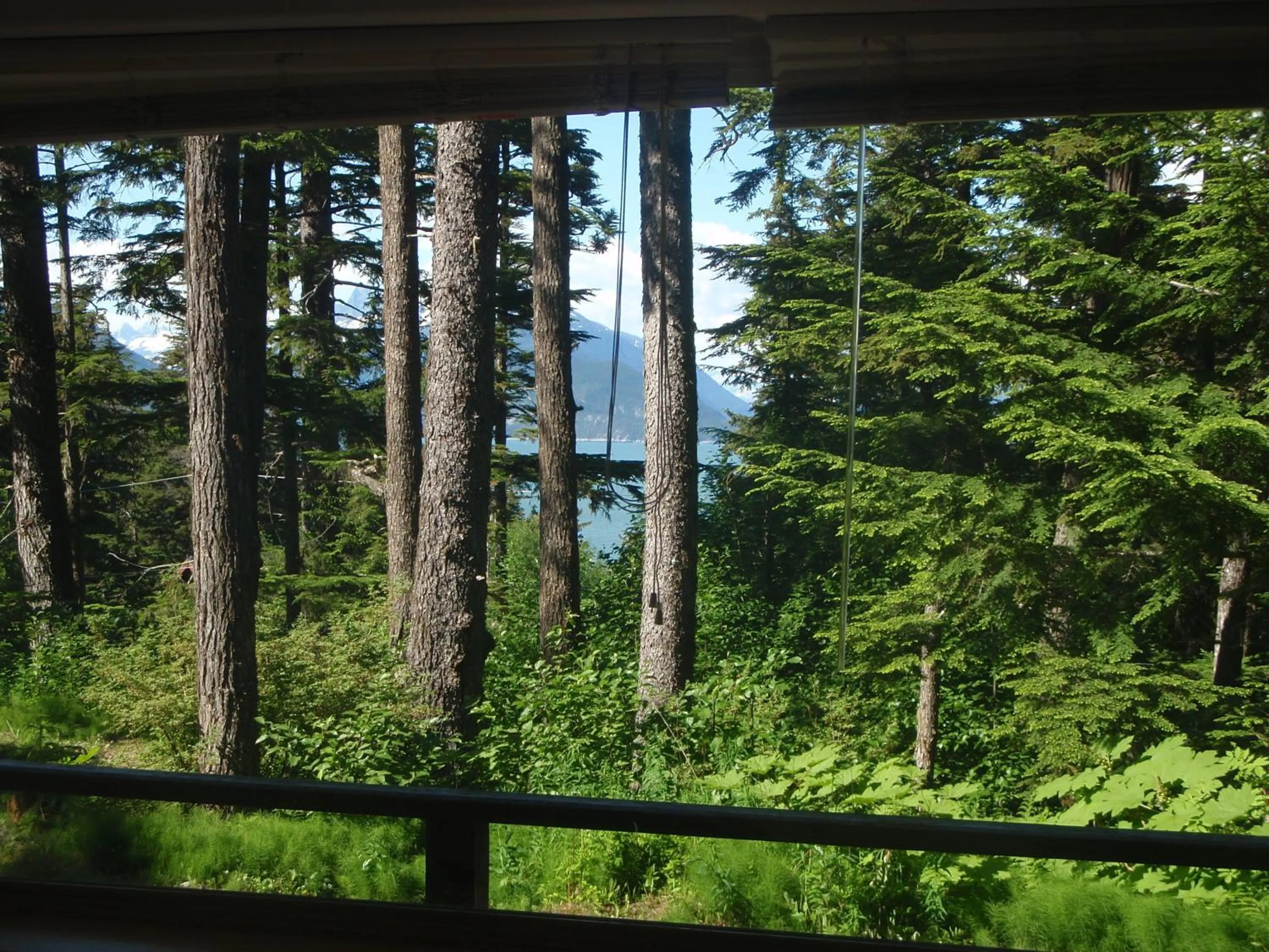 Day in Beach Roadhouse