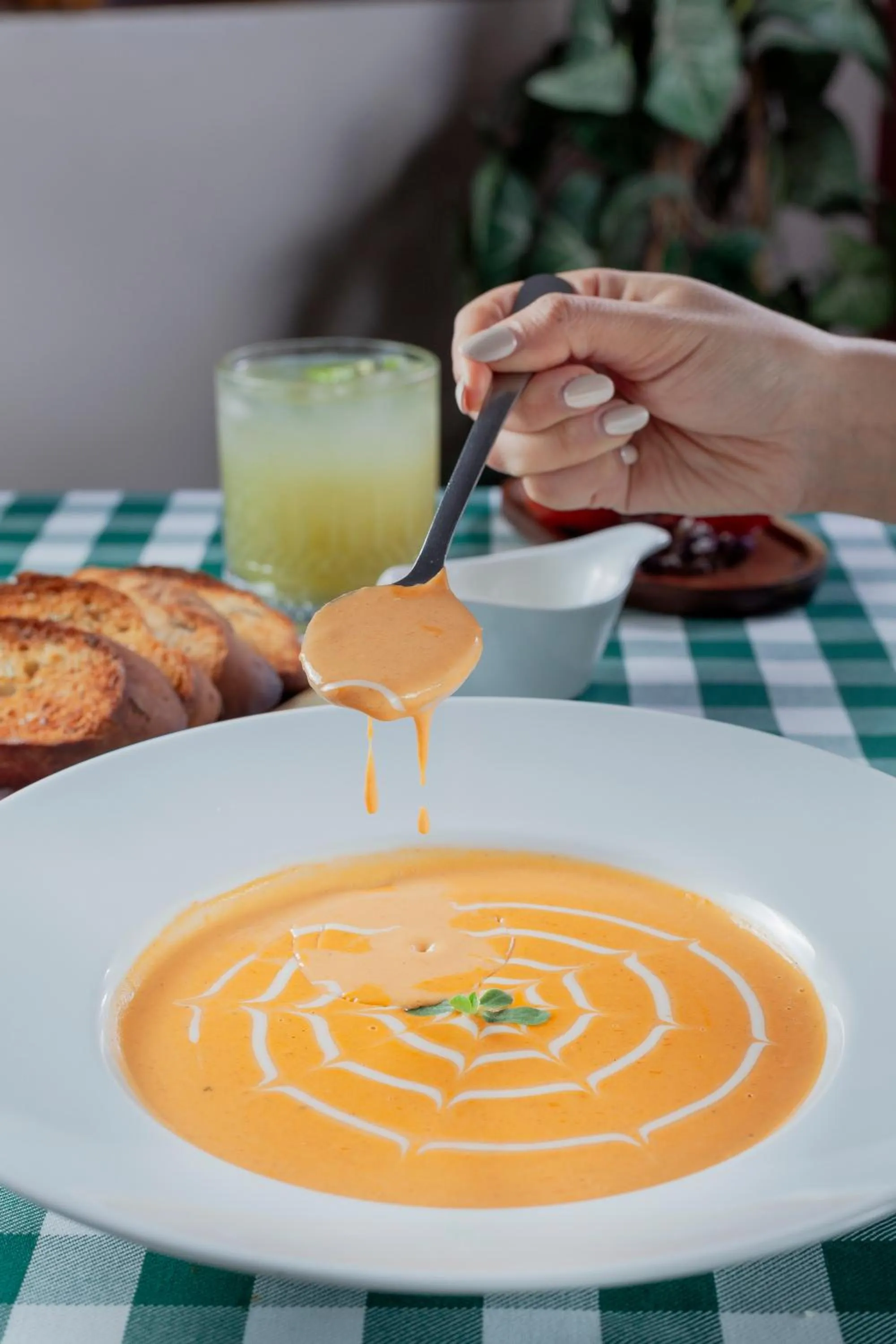 Hotel Plaza San Carlos