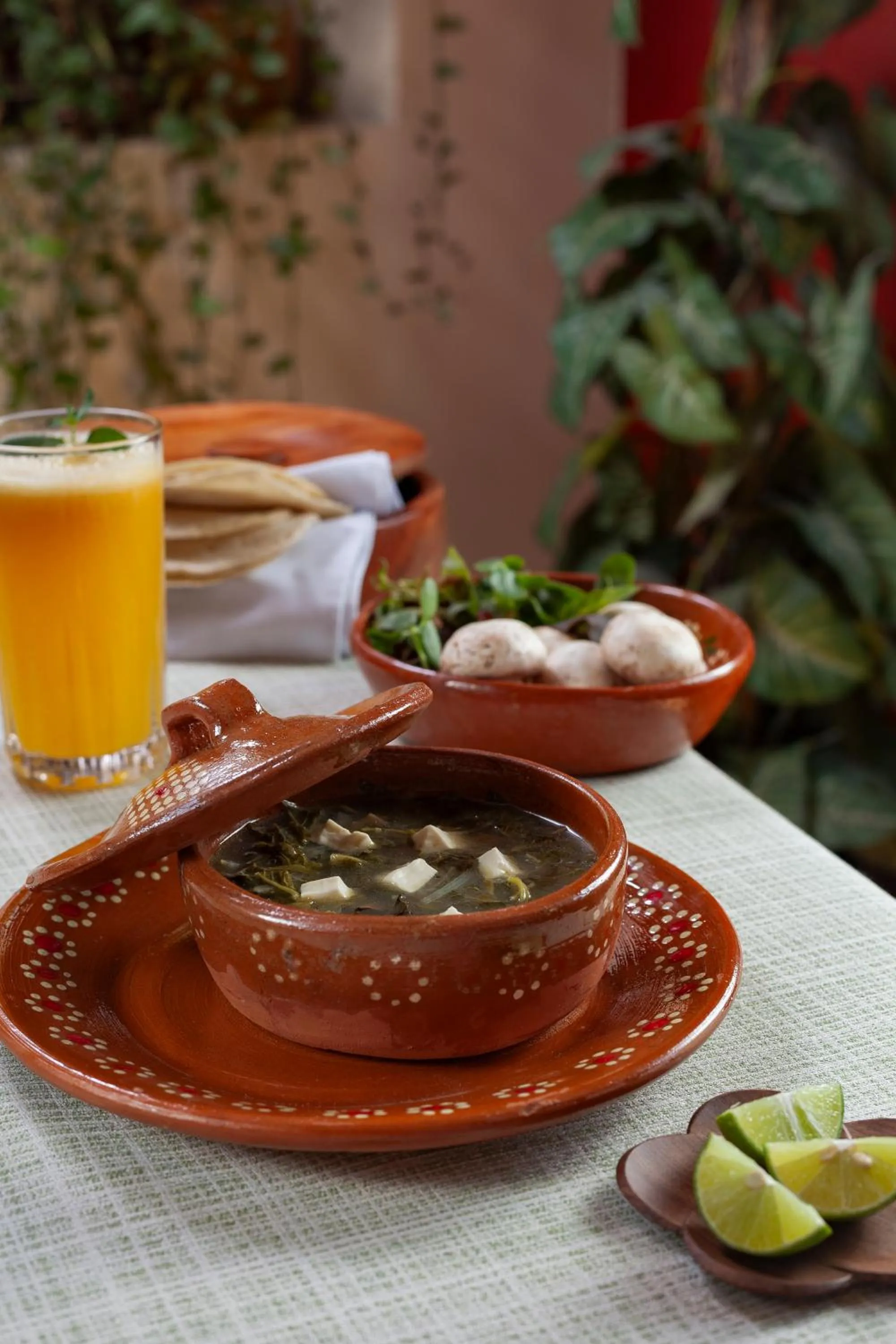 Hotel Plaza San Carlos