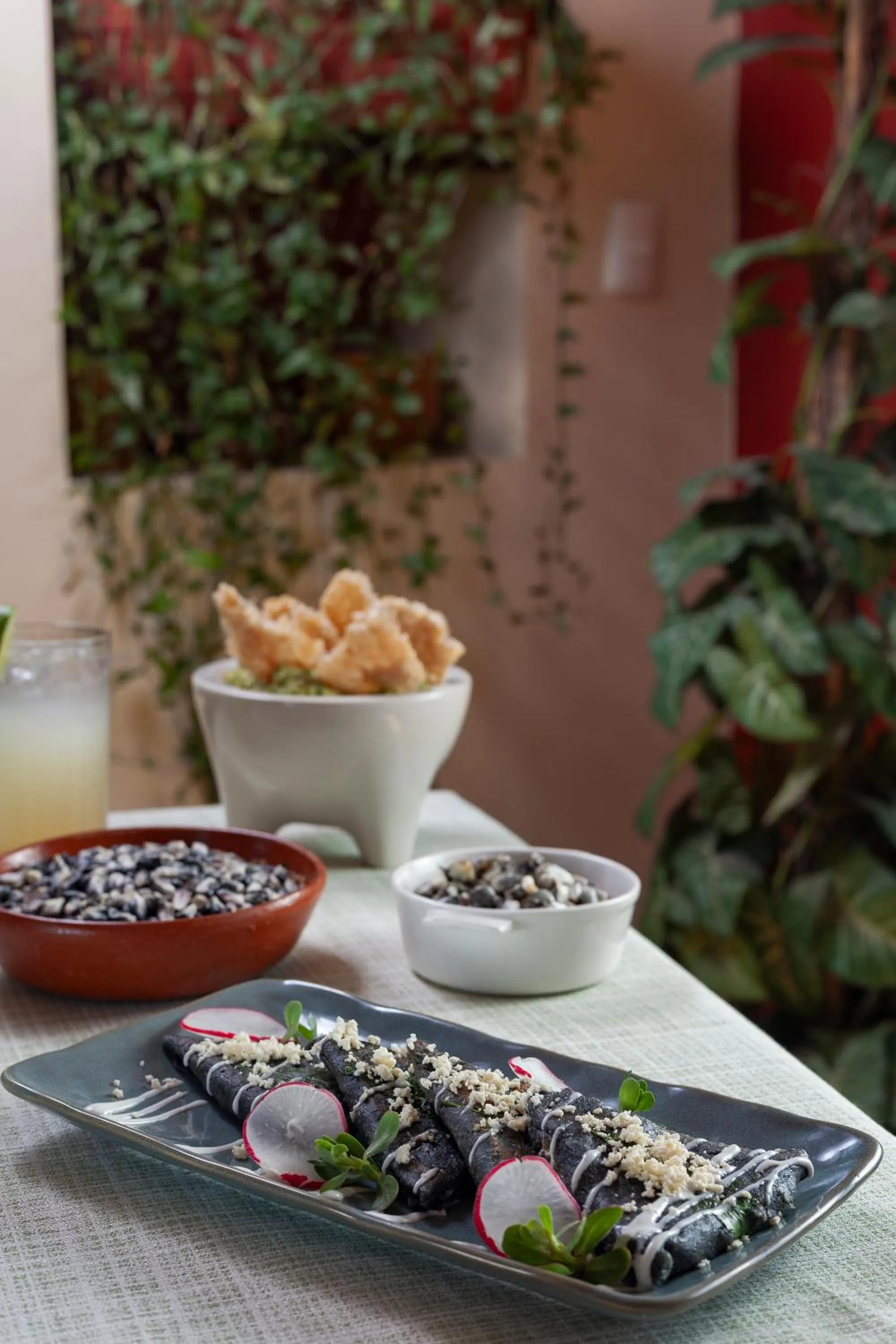 Hotel Plaza San Carlos